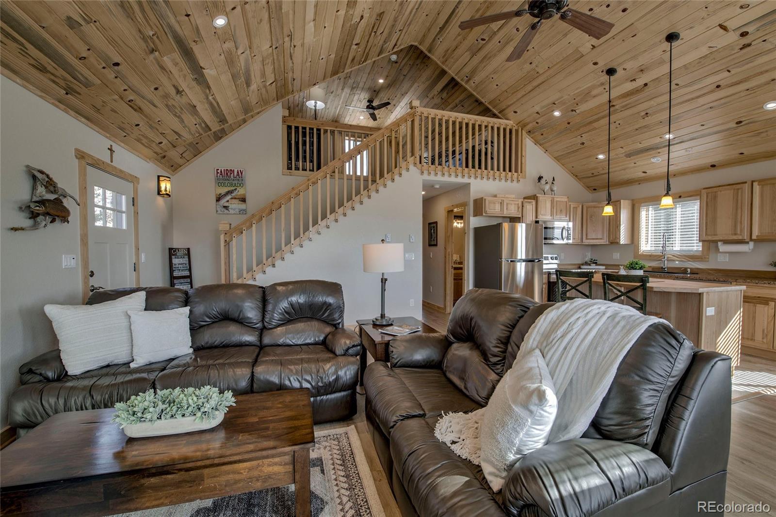 MLS Image #3 for 273  ridge road,fairplay, Colorado