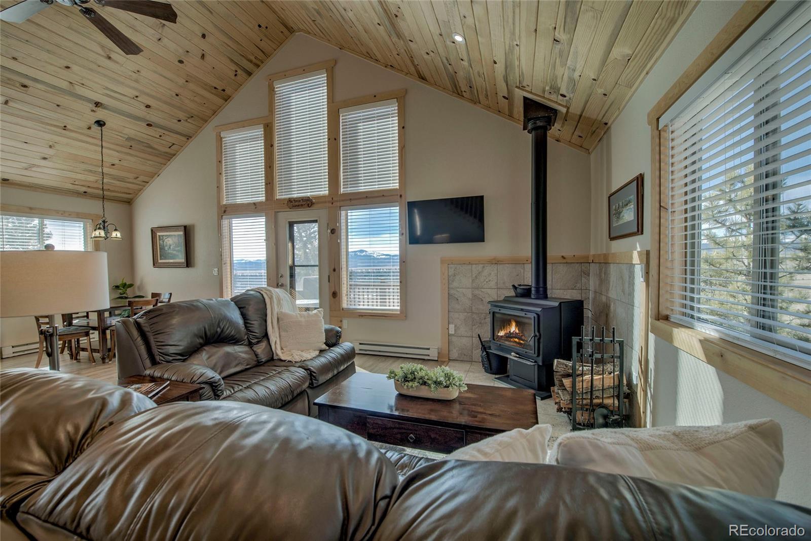 MLS Image #4 for 273  ridge road,fairplay, Colorado