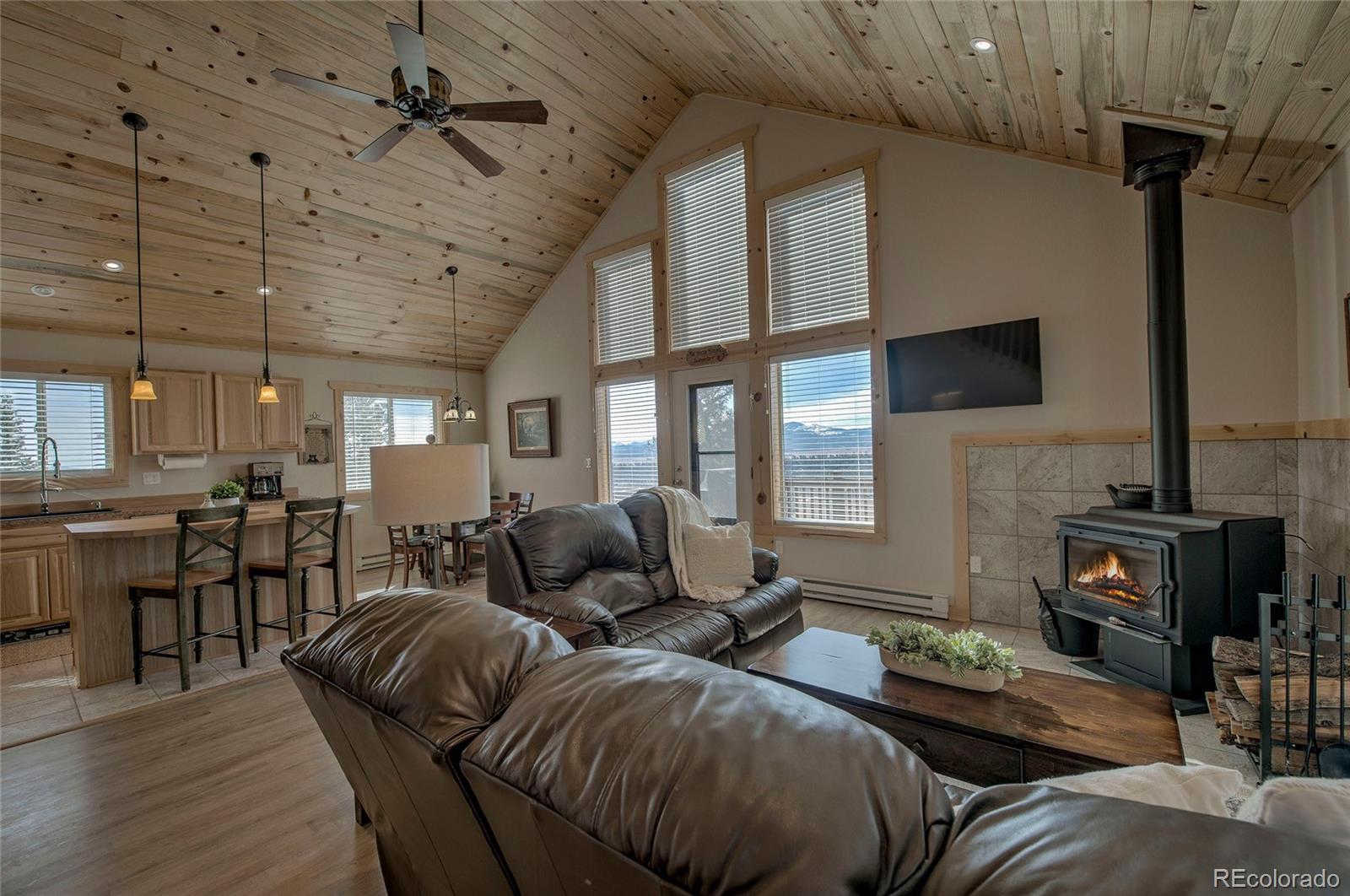MLS Image #5 for 273  ridge road,fairplay, Colorado