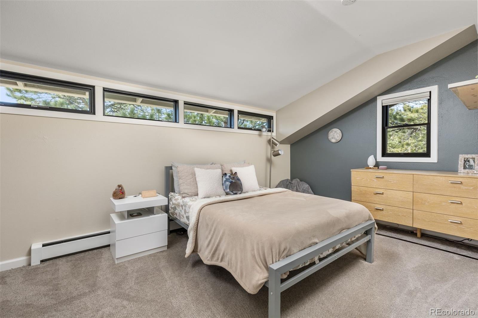 MLS Image #23 for 3886  ponderosa drive,evergreen, Colorado