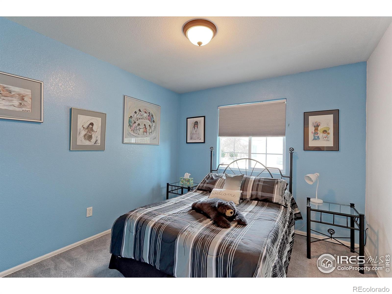 MLS Image #14 for 3757  settler ridge drive,mead, Colorado