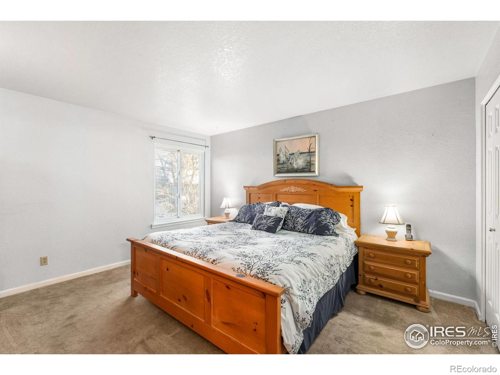 MLS Image #12 for 204  linden street,frederick, Colorado