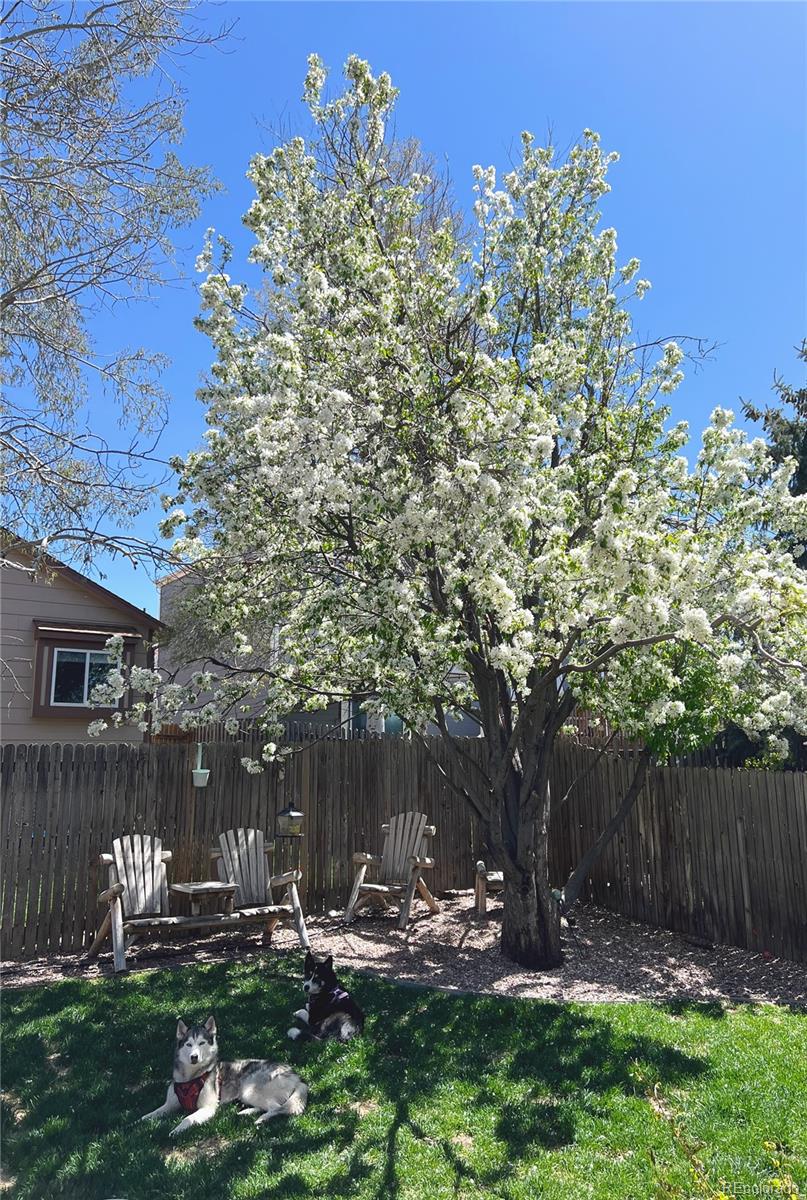 MLS Image #25 for 5011  rushford place,colorado springs, Colorado