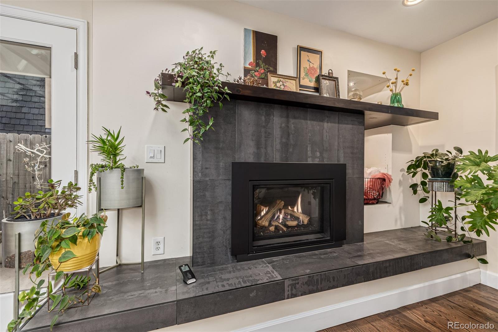 MLS Image #4 for 1227  elm street,denver, Colorado