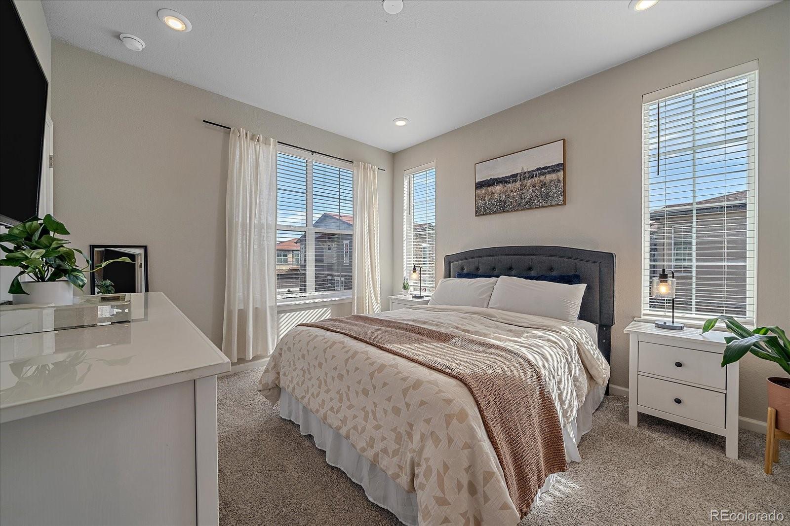 MLS Image #15 for 8428  galvani trail,highlands ranch, Colorado