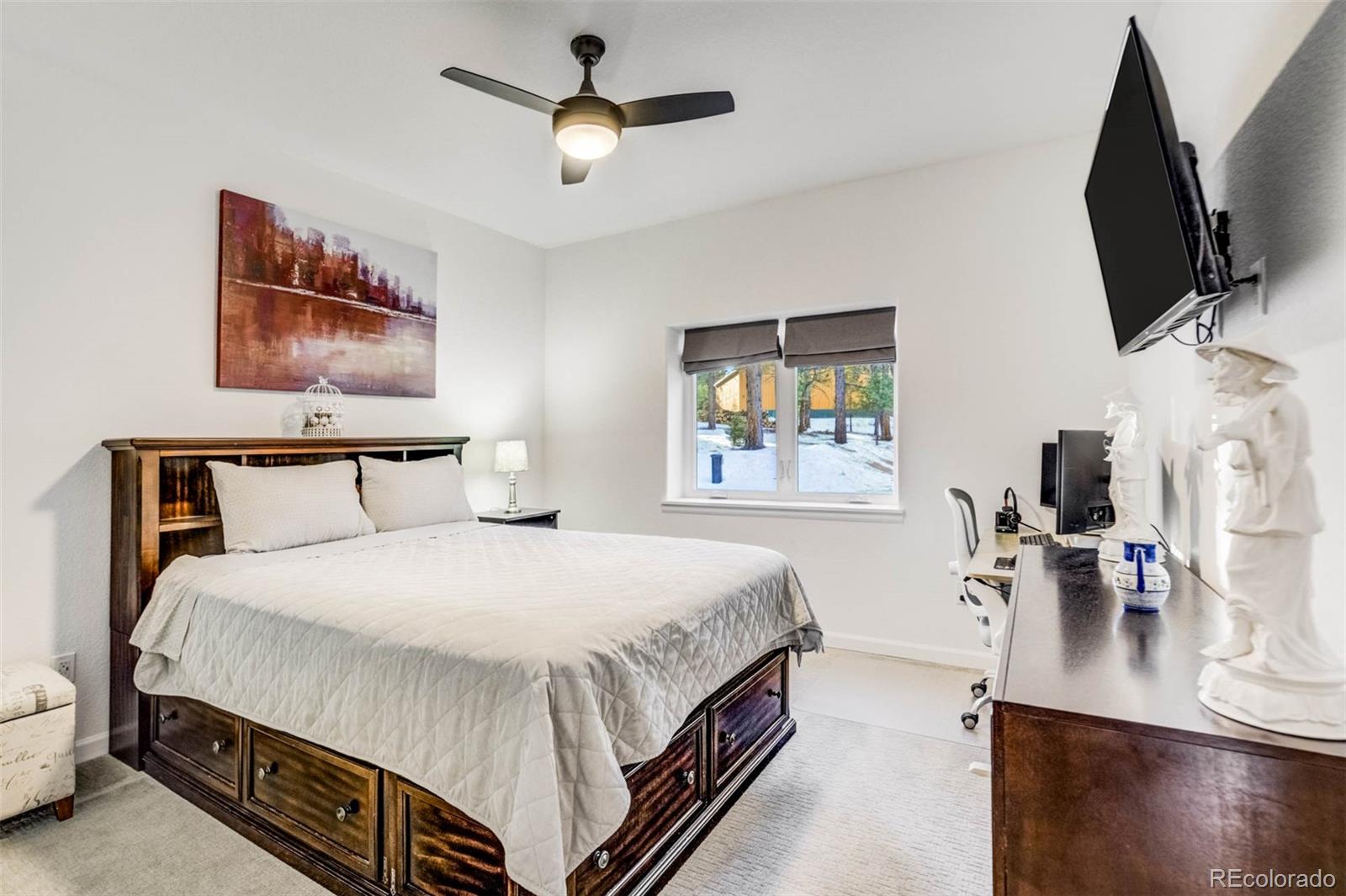 MLS Image #14 for 126  rainier drive,florissant, Colorado