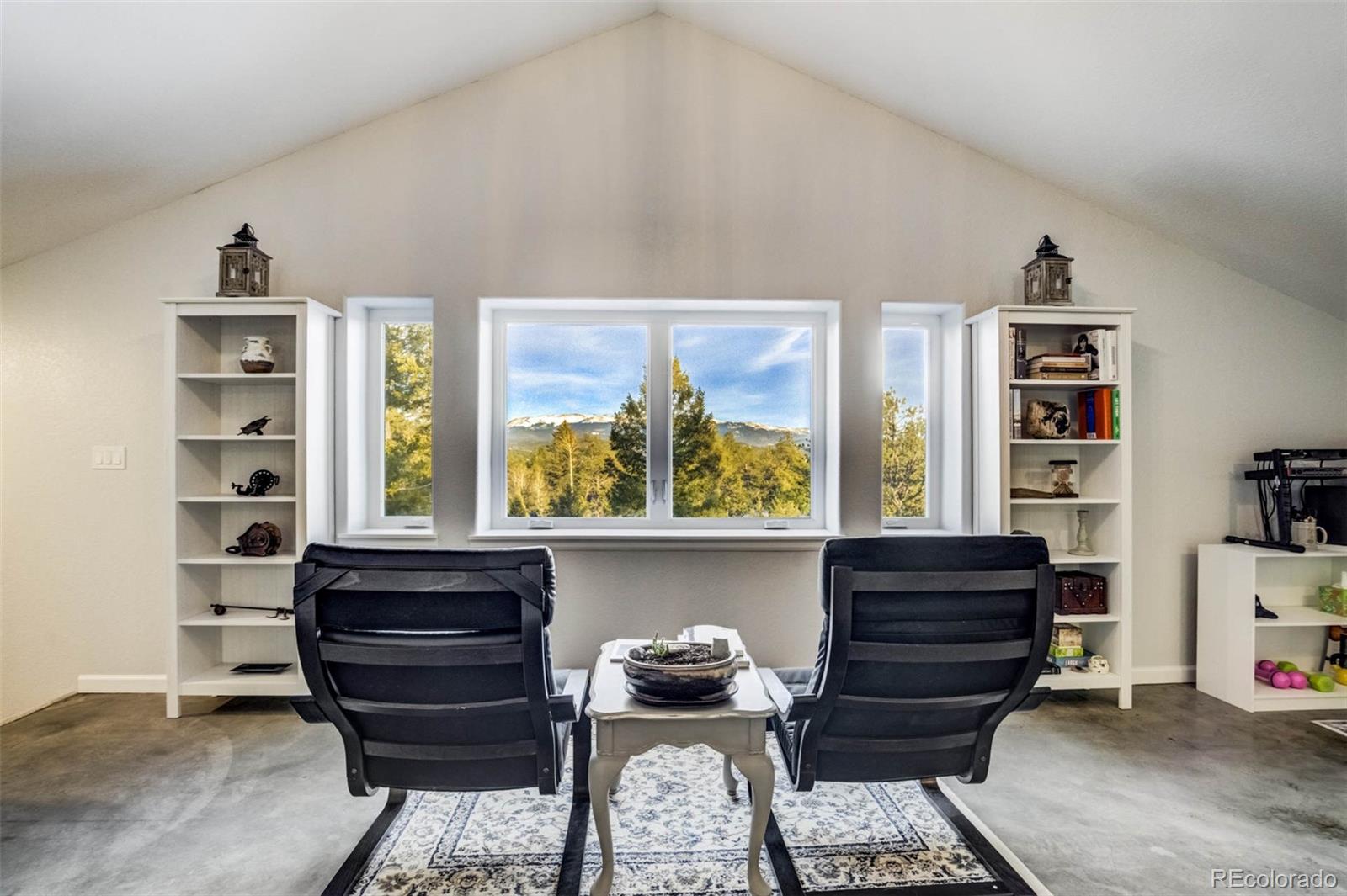 MLS Image #17 for 126  rainier drive,florissant, Colorado