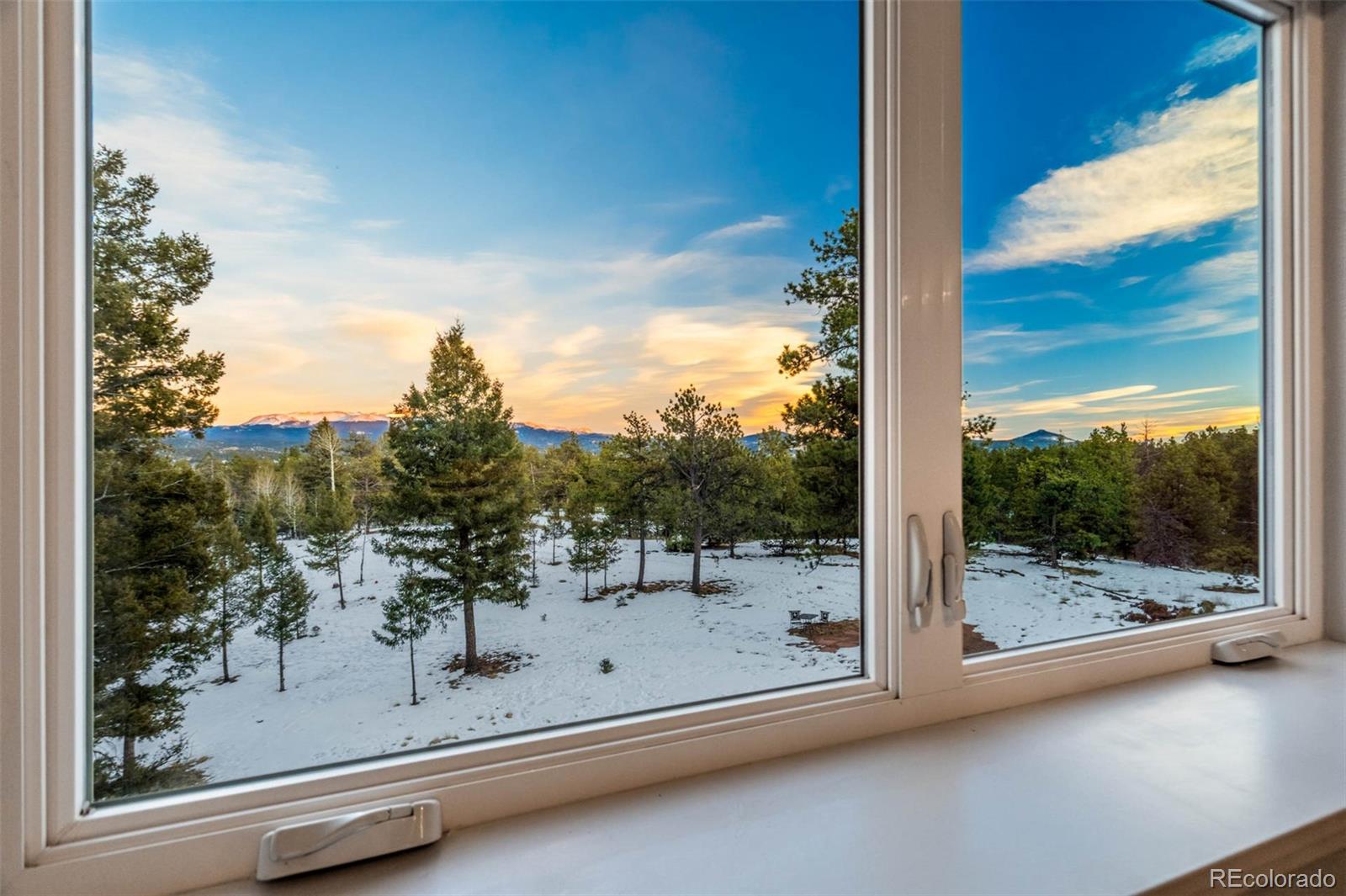 MLS Image #22 for 126  rainier drive,florissant, Colorado