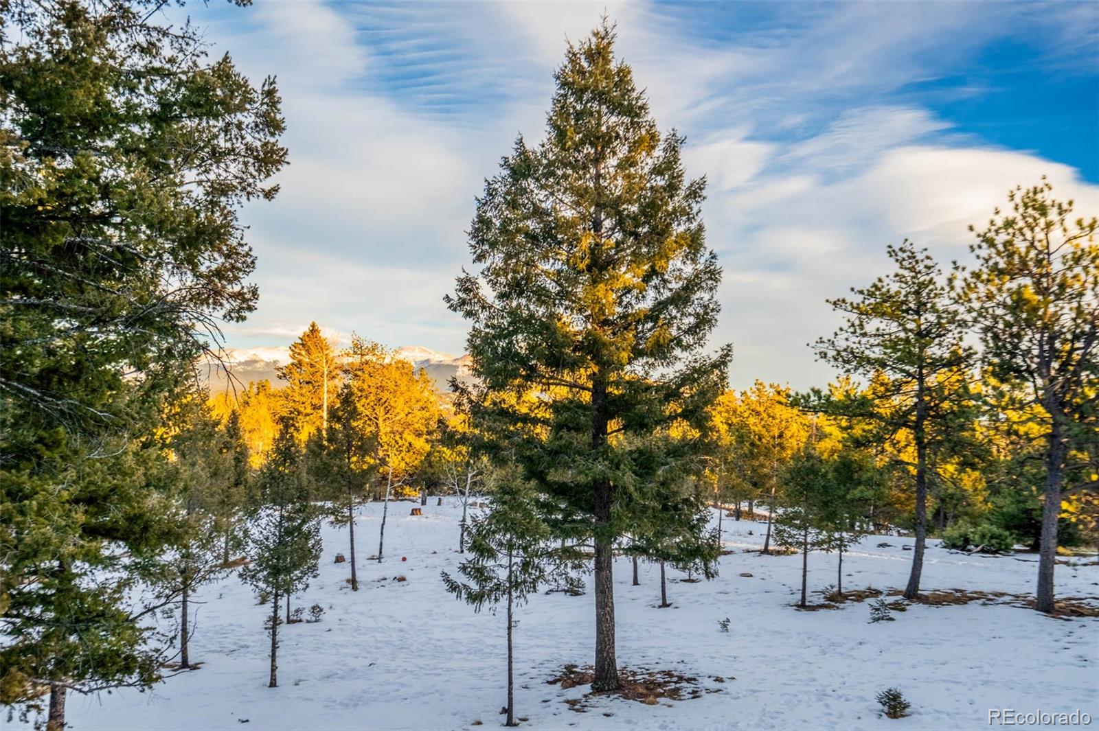 MLS Image #29 for 126  rainier drive,florissant, Colorado