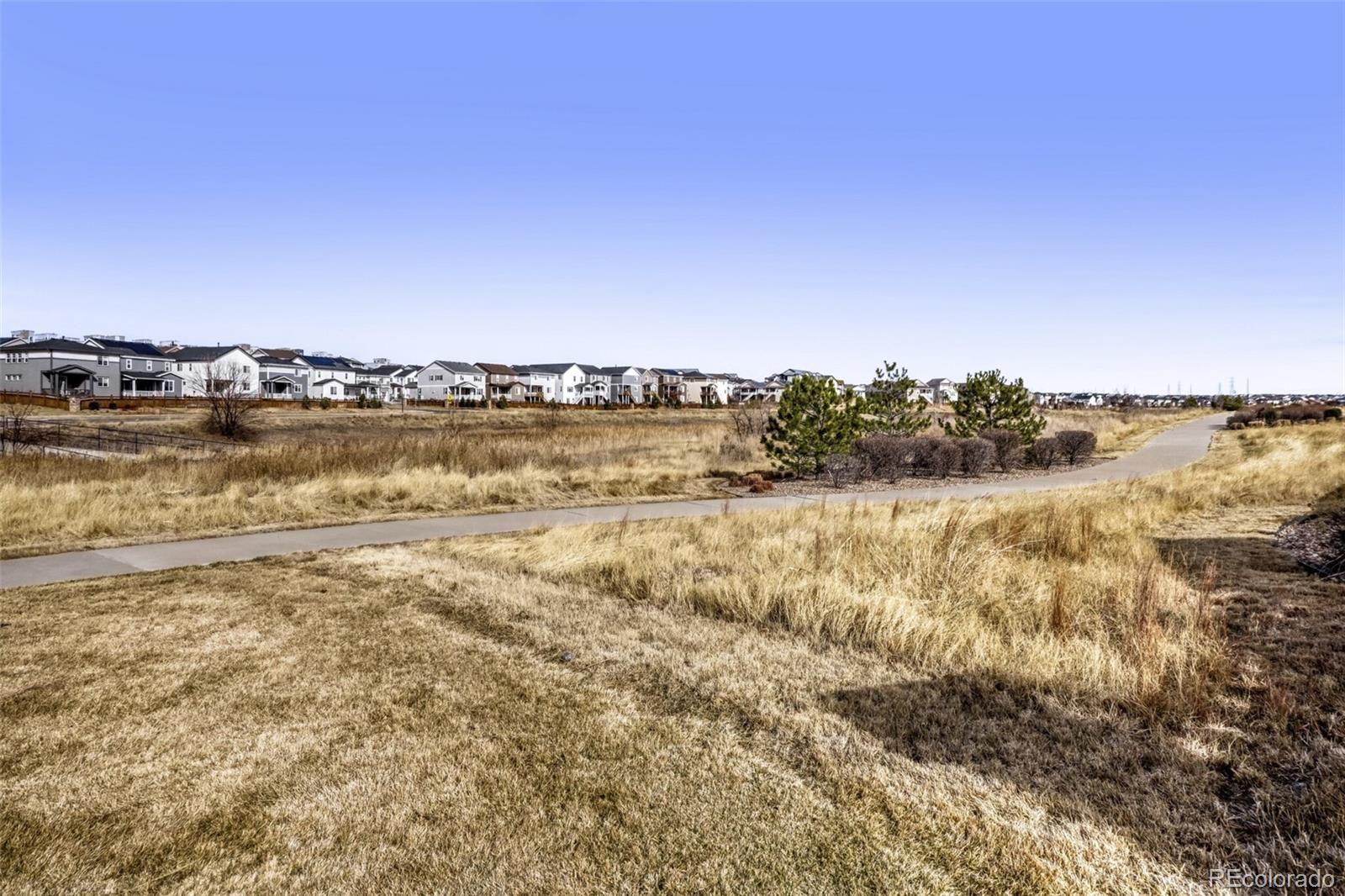 MLS Image #26 for 4468 s malaya court,aurora, Colorado