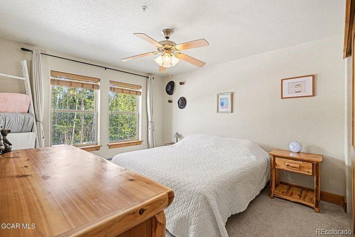 MLS Image #22 for 200  gcr 8344 ,fraser, Colorado
