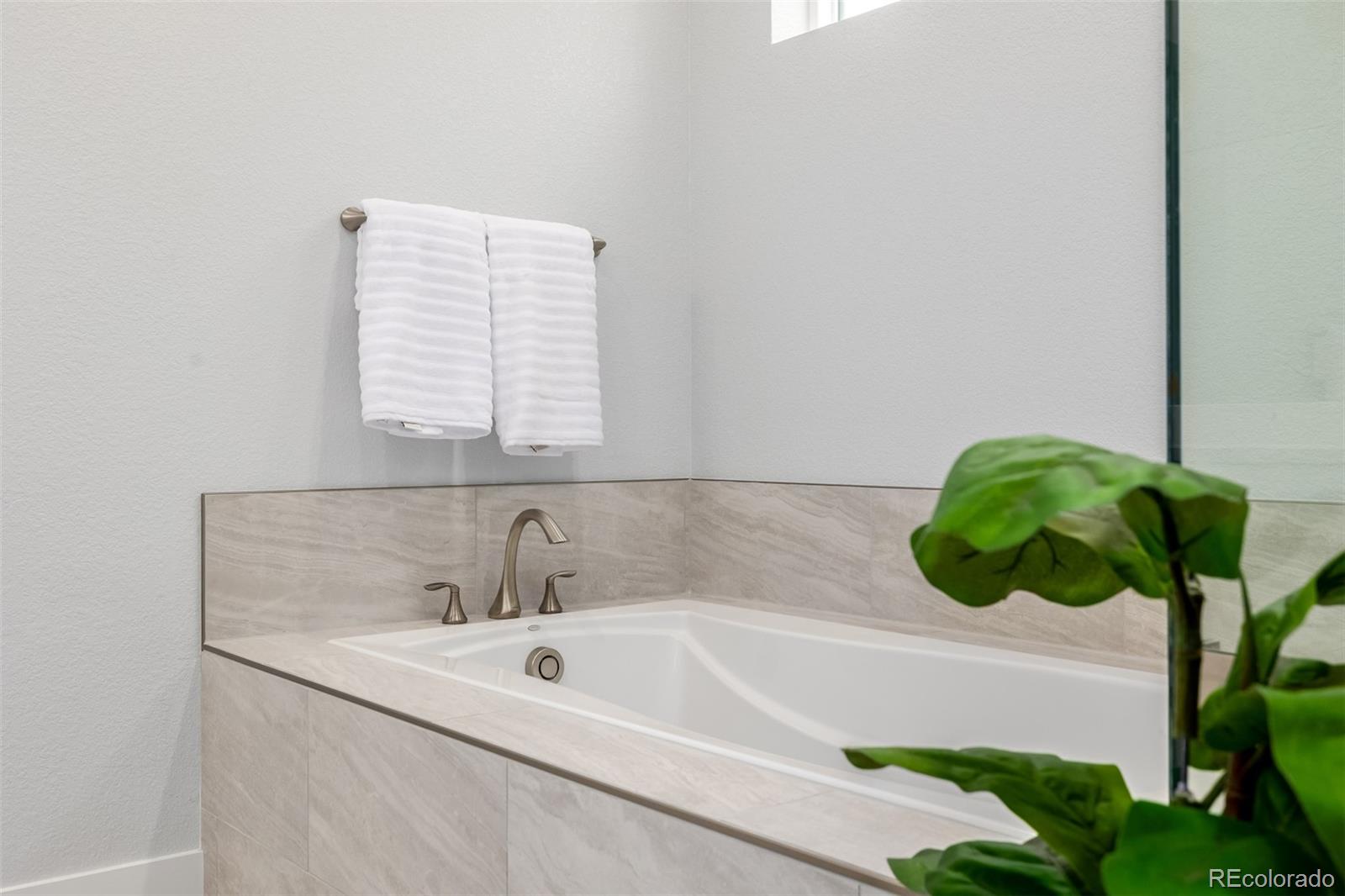 MLS Image #17 for 11412  autumn moon street,littleton, Colorado