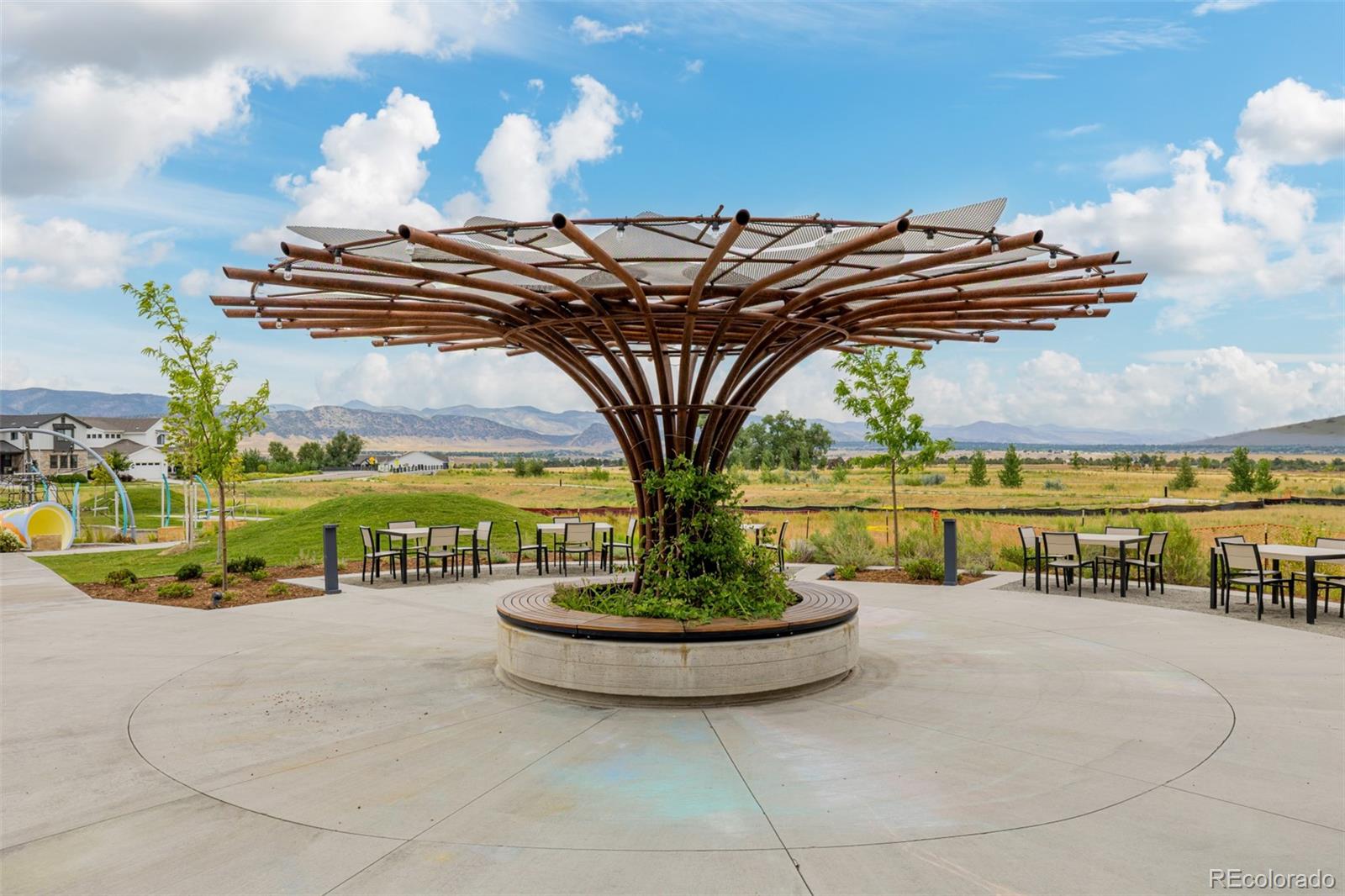 MLS Image #44 for 11412  autumn moon street,littleton, Colorado