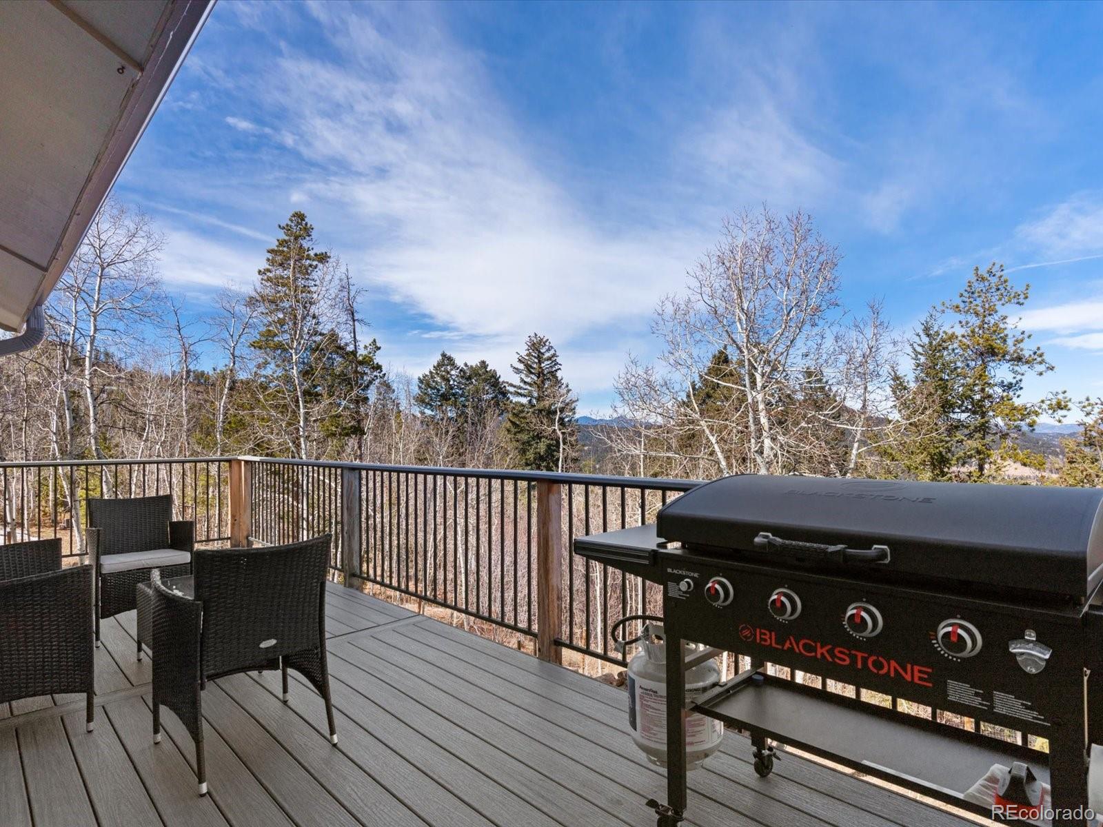 MLS Image #23 for 10131  city view drive,morrison, Colorado