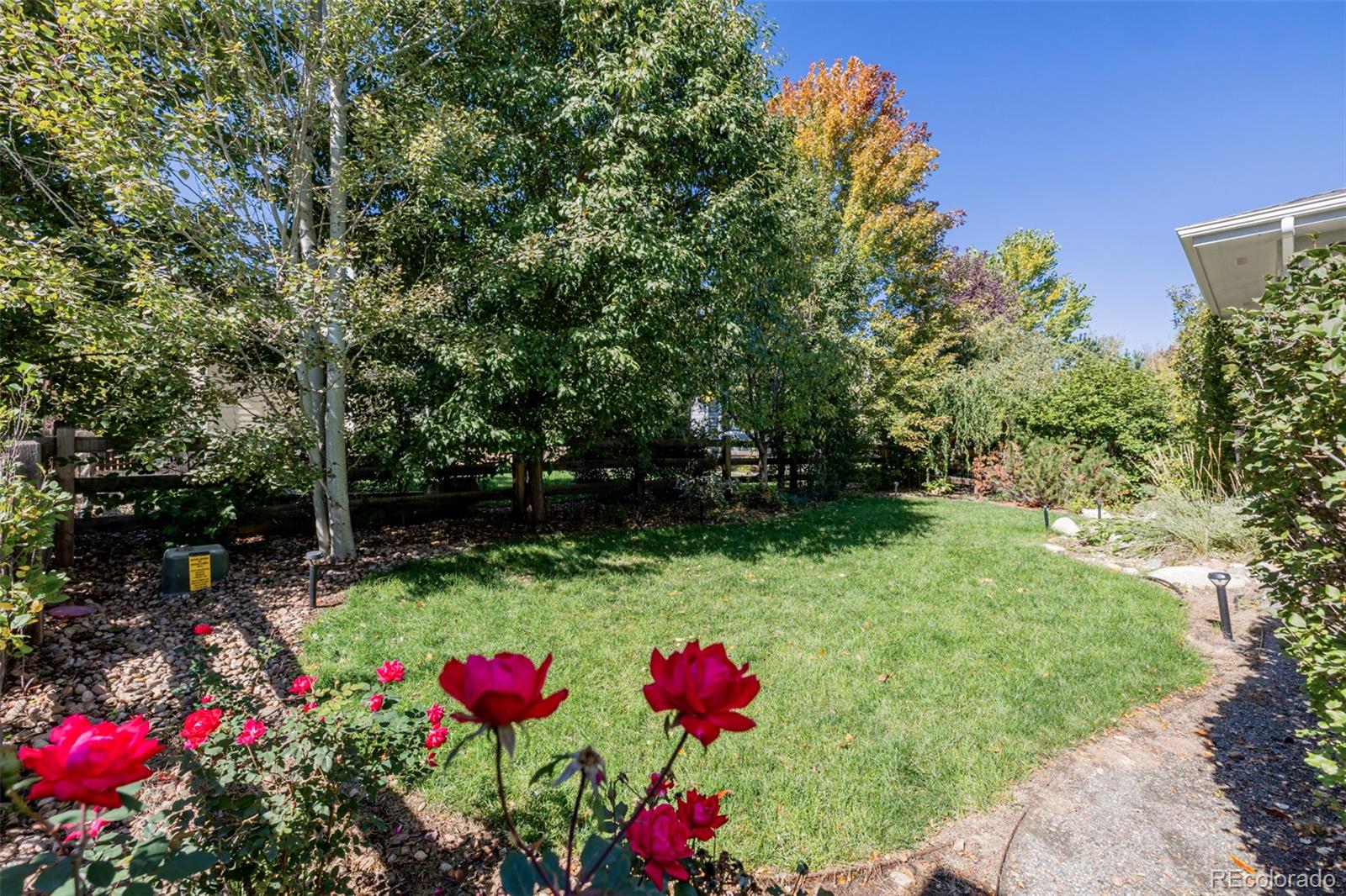 MLS Image #43 for 1138  mircos street,erie, Colorado