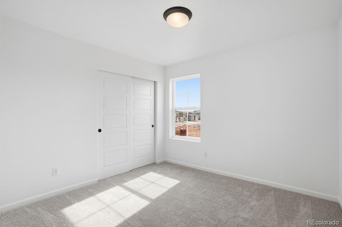 MLS Image #9 for 8784  whiteclover street,littleton, Colorado