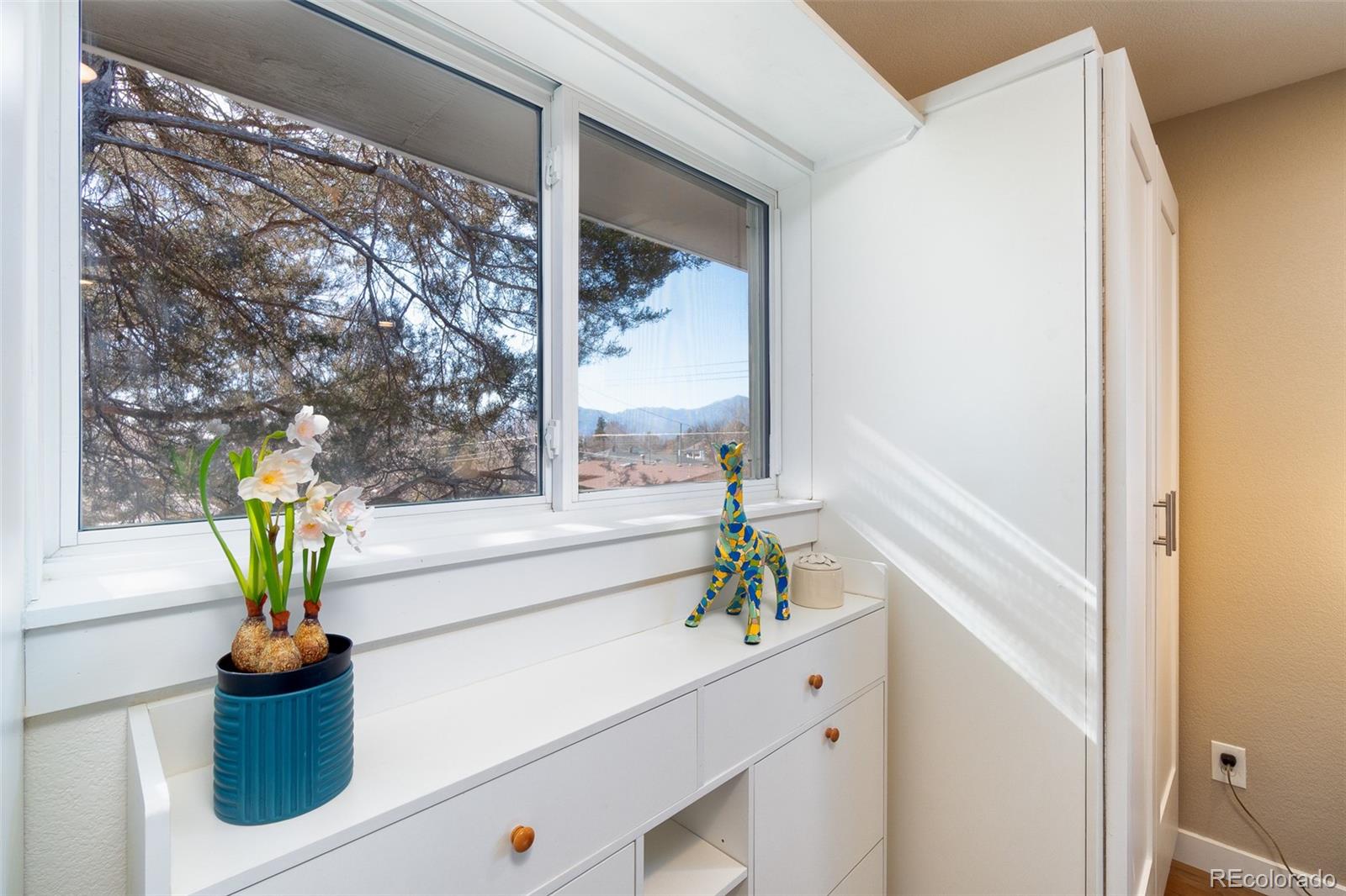 MLS Image #36 for 2210  wynkoop drive,colorado springs, Colorado