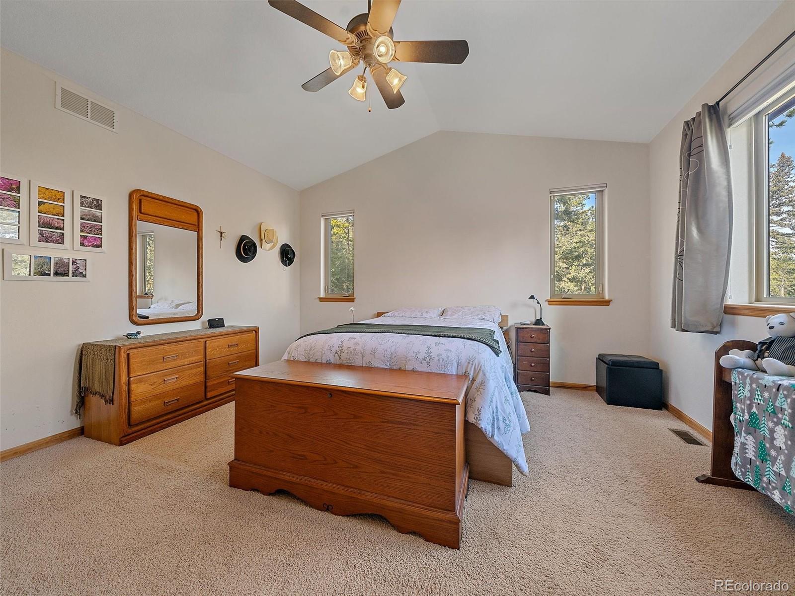 MLS Image #13 for 6752 s columbine road,evergreen, Colorado