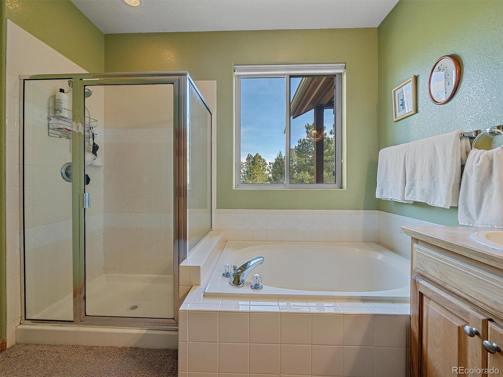 MLS Image #16 for 6752 s columbine road,evergreen, Colorado