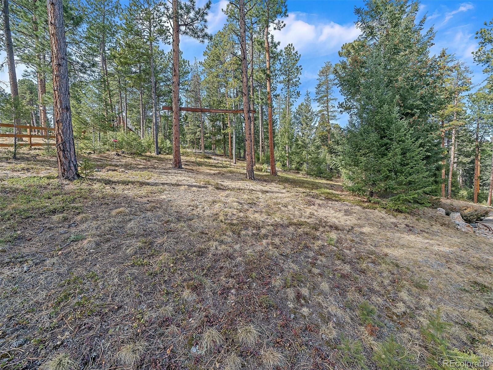 MLS Image #29 for 6752 s columbine road,evergreen, Colorado