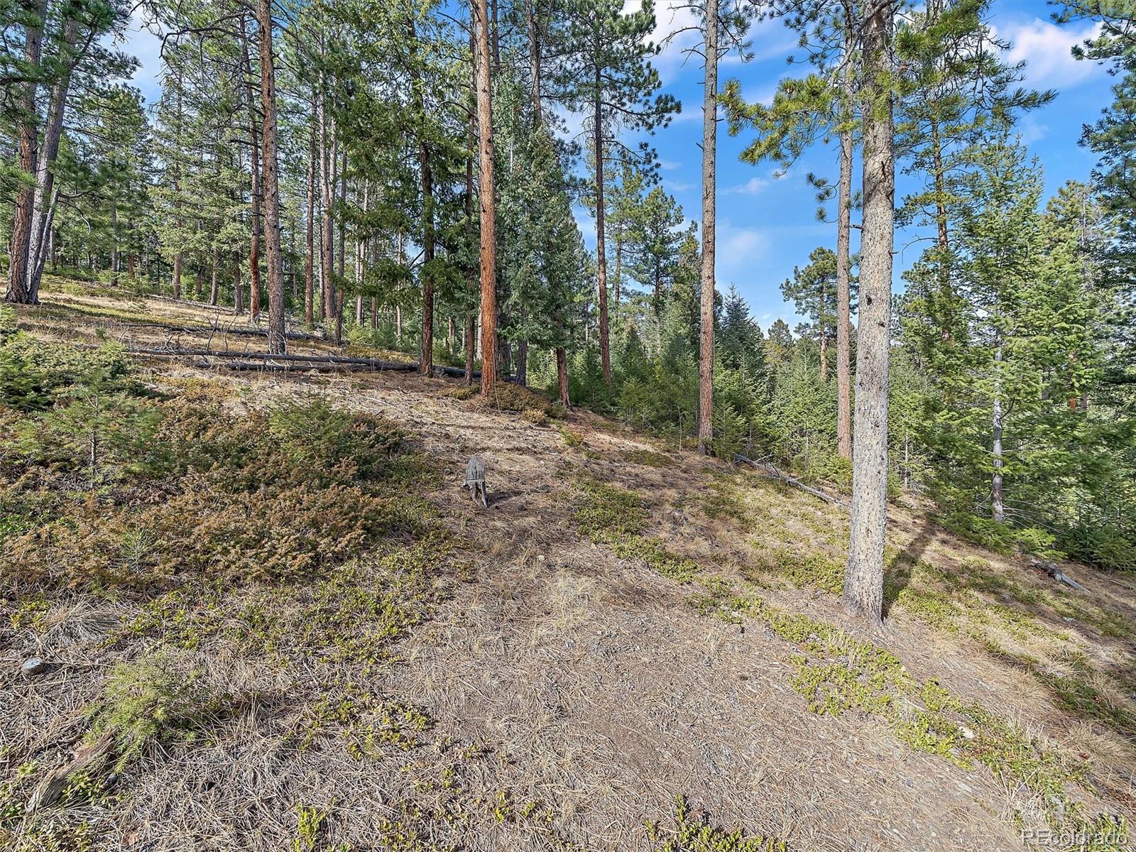 MLS Image #31 for 6752 s columbine road,evergreen, Colorado