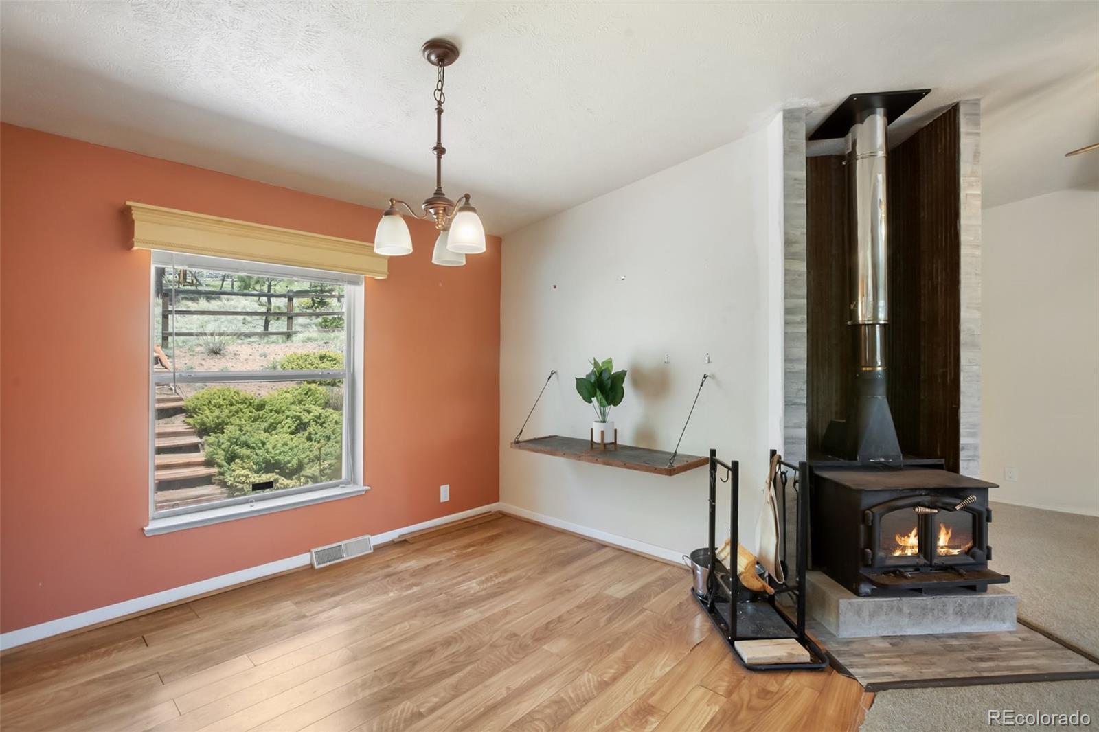 MLS Image #12 for 1011 w bison creek trail,divide, Colorado