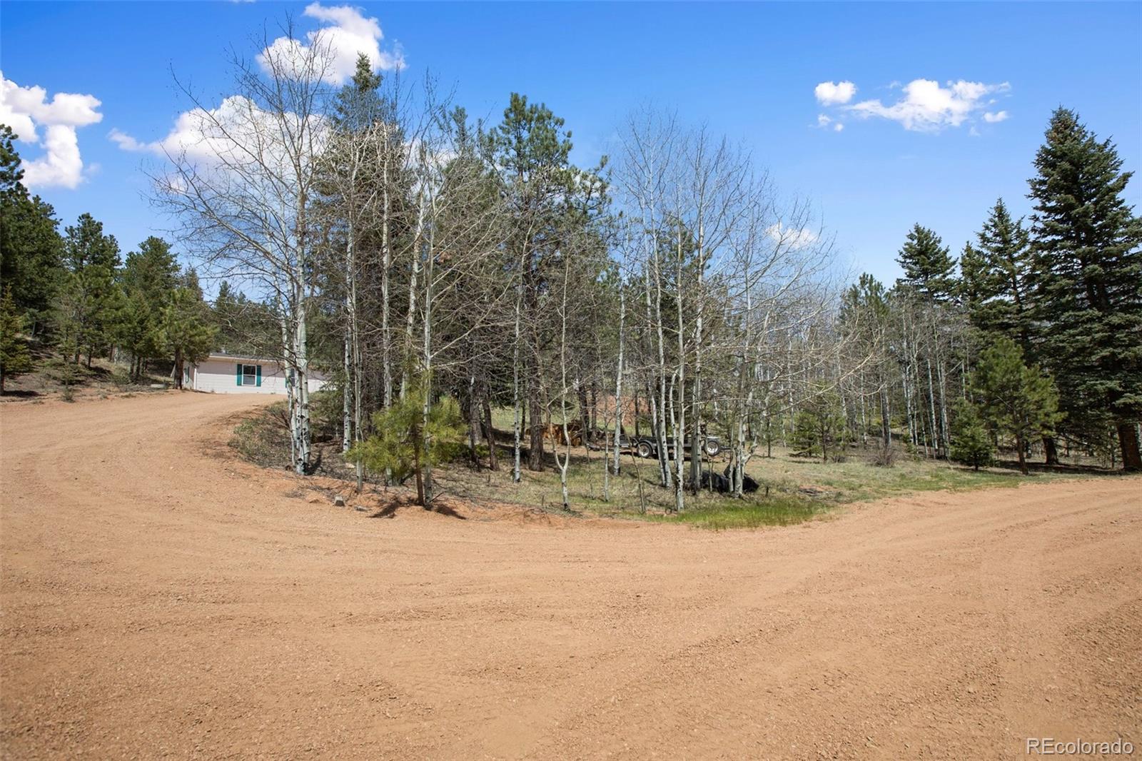 MLS Image #2 for 1011 w bison creek trail,divide, Colorado