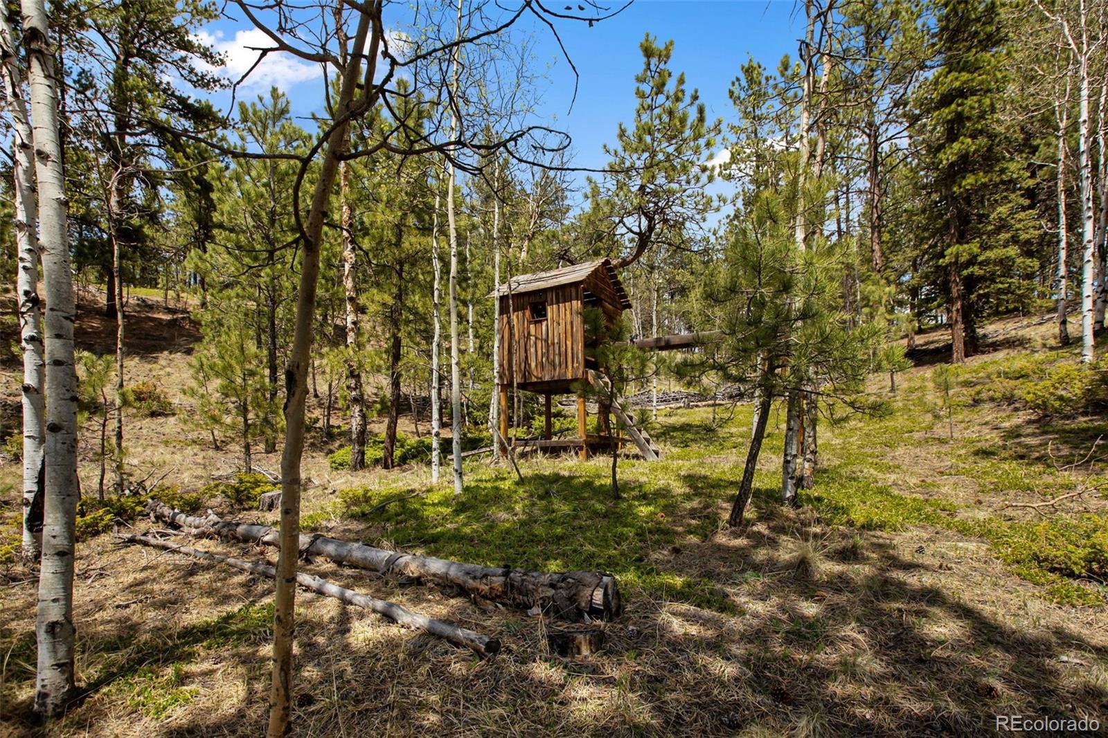 MLS Image #3 for 1011 w bison creek trail,divide, Colorado