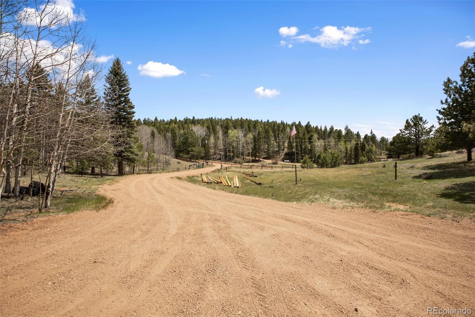 MLS Image #5 for 1011 w bison creek trail,divide, Colorado