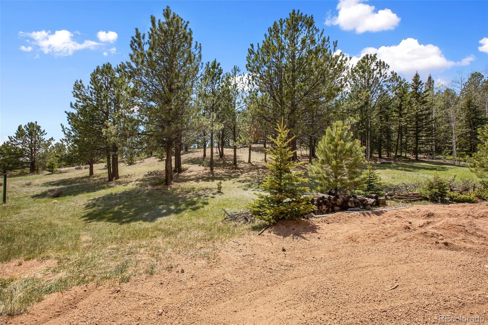MLS Image #6 for 1011 w bison creek trail,divide, Colorado