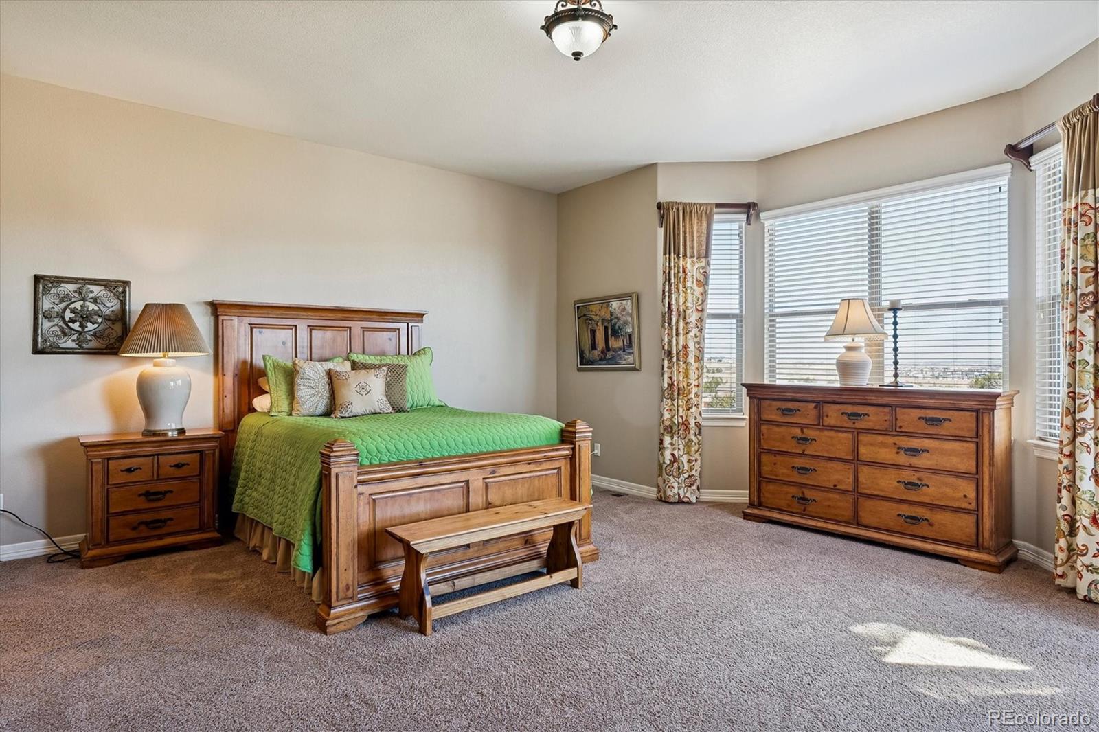 MLS Image #22 for 5228  rialto drive,parker, Colorado