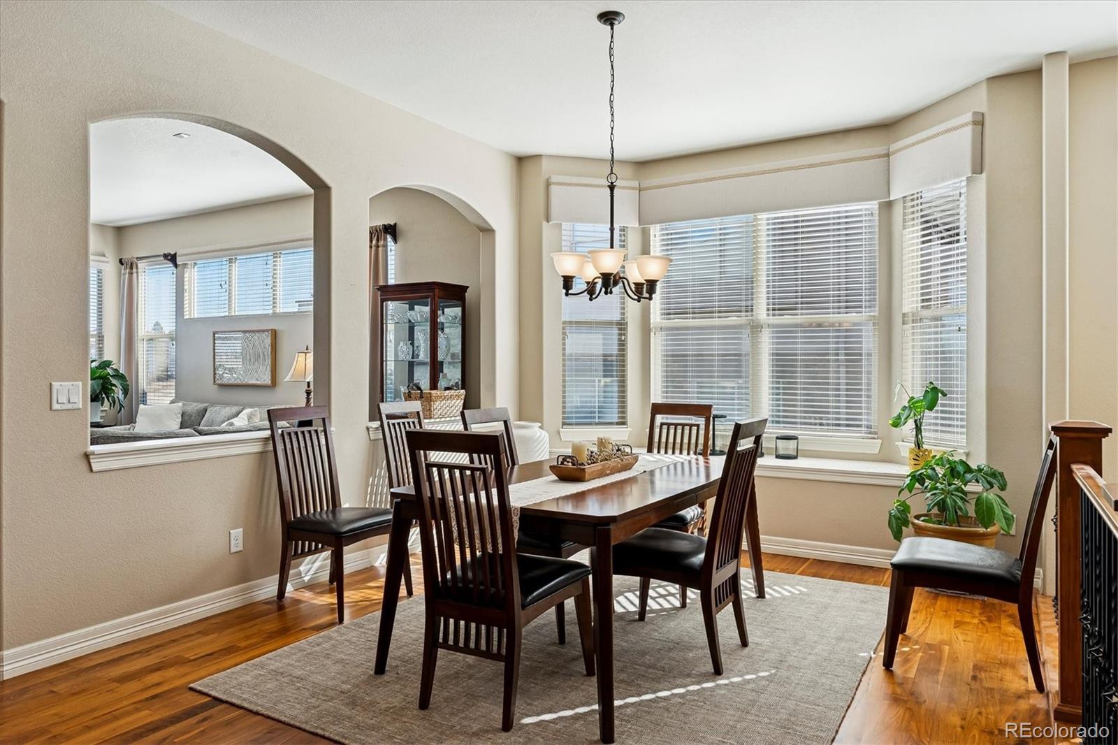 MLS Image #7 for 5228  rialto drive,parker, Colorado