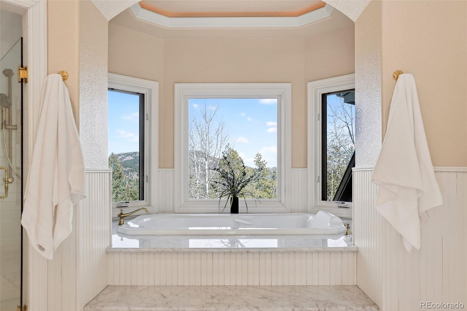 MLS Image #32 for 11406  conifer ridge drive,conifer, Colorado