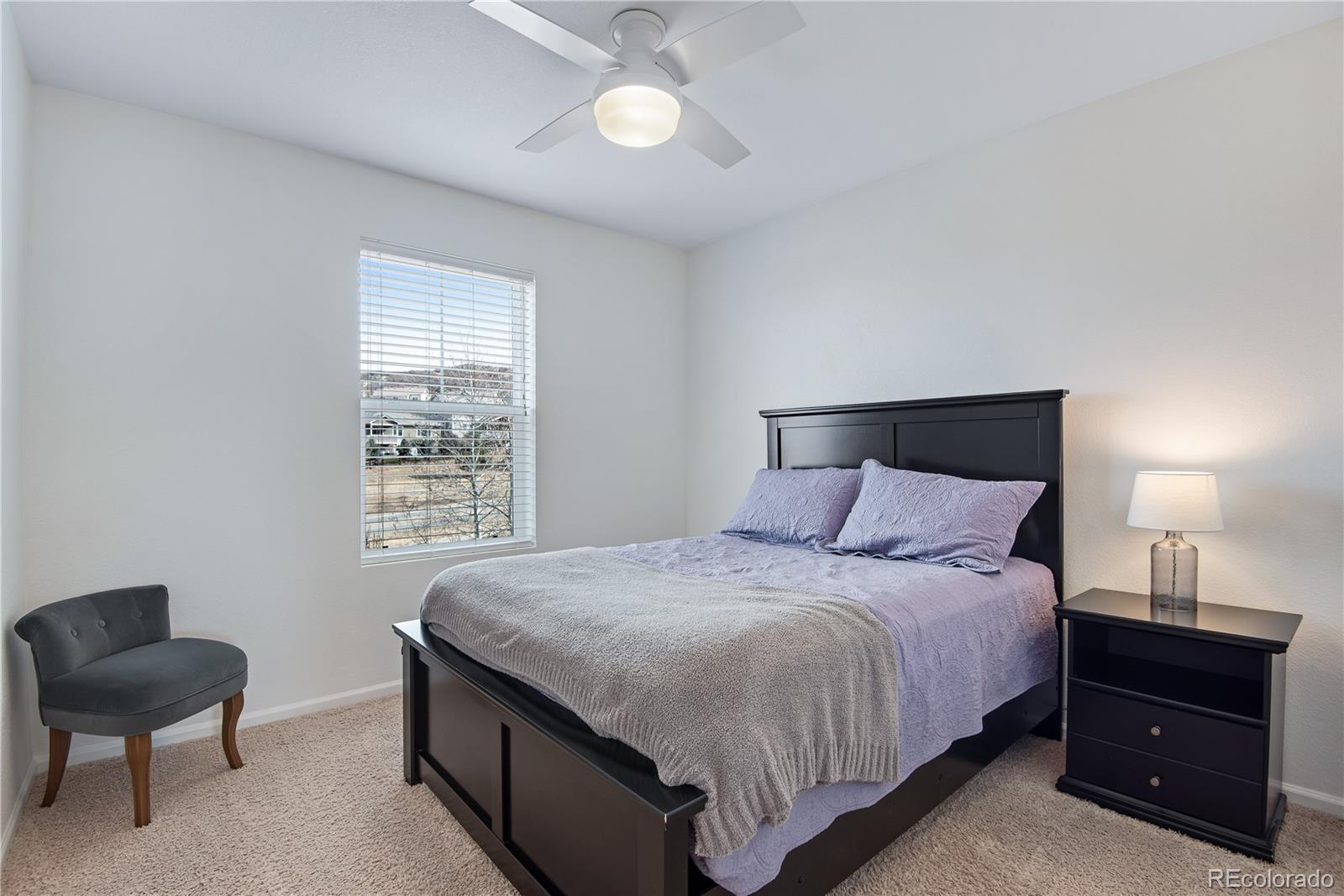 MLS Image #36 for 1994  candleglow street,castle rock, Colorado