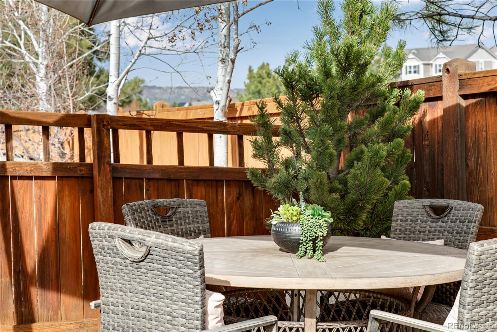 MLS Image #39 for 1994  candleglow street,castle rock, Colorado