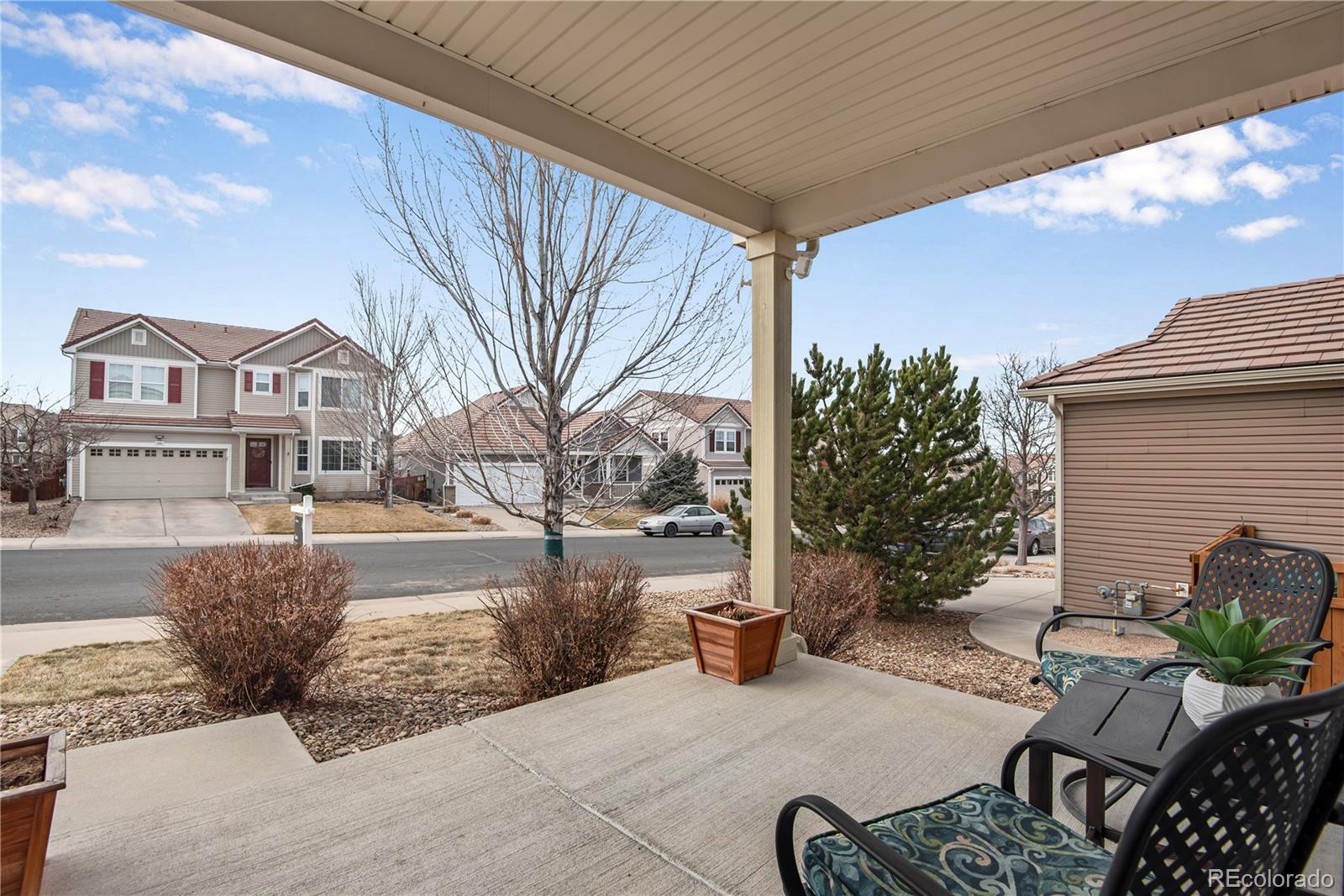 MLS Image #43 for 1994  candleglow street,castle rock, Colorado