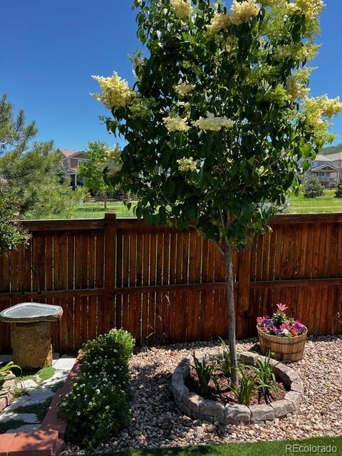 MLS Image #46 for 1994  candleglow street,castle rock, Colorado