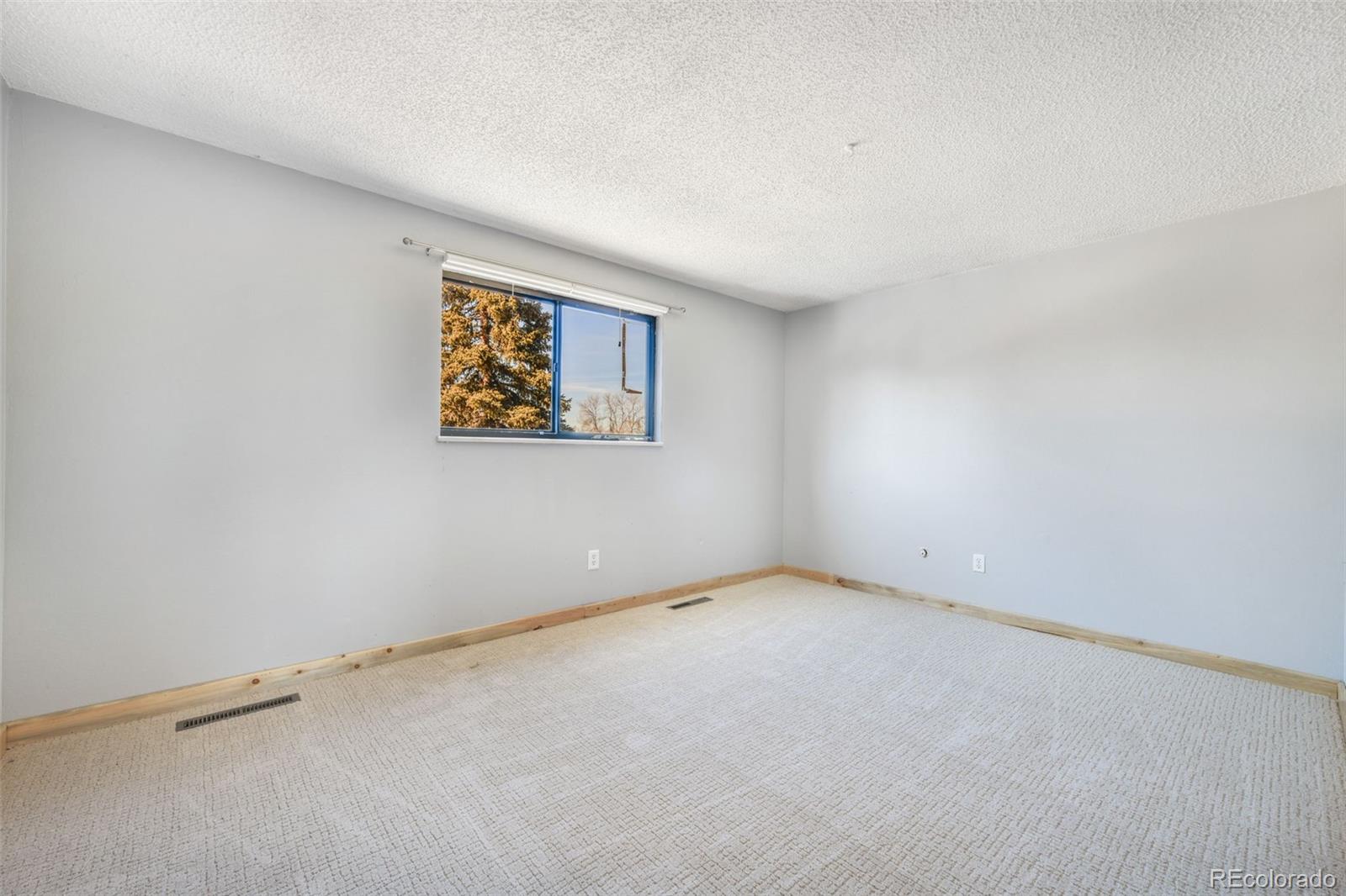 MLS Image #11 for 3570  merriment way,colorado springs, Colorado