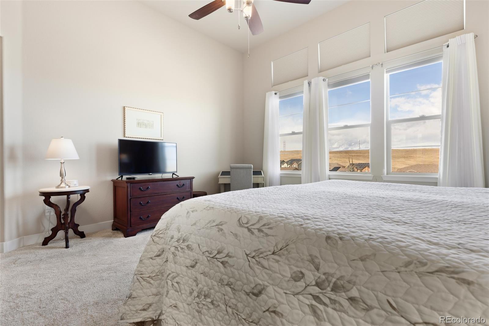 MLS Image #25 for 17697 w 95th avenue,arvada, Colorado