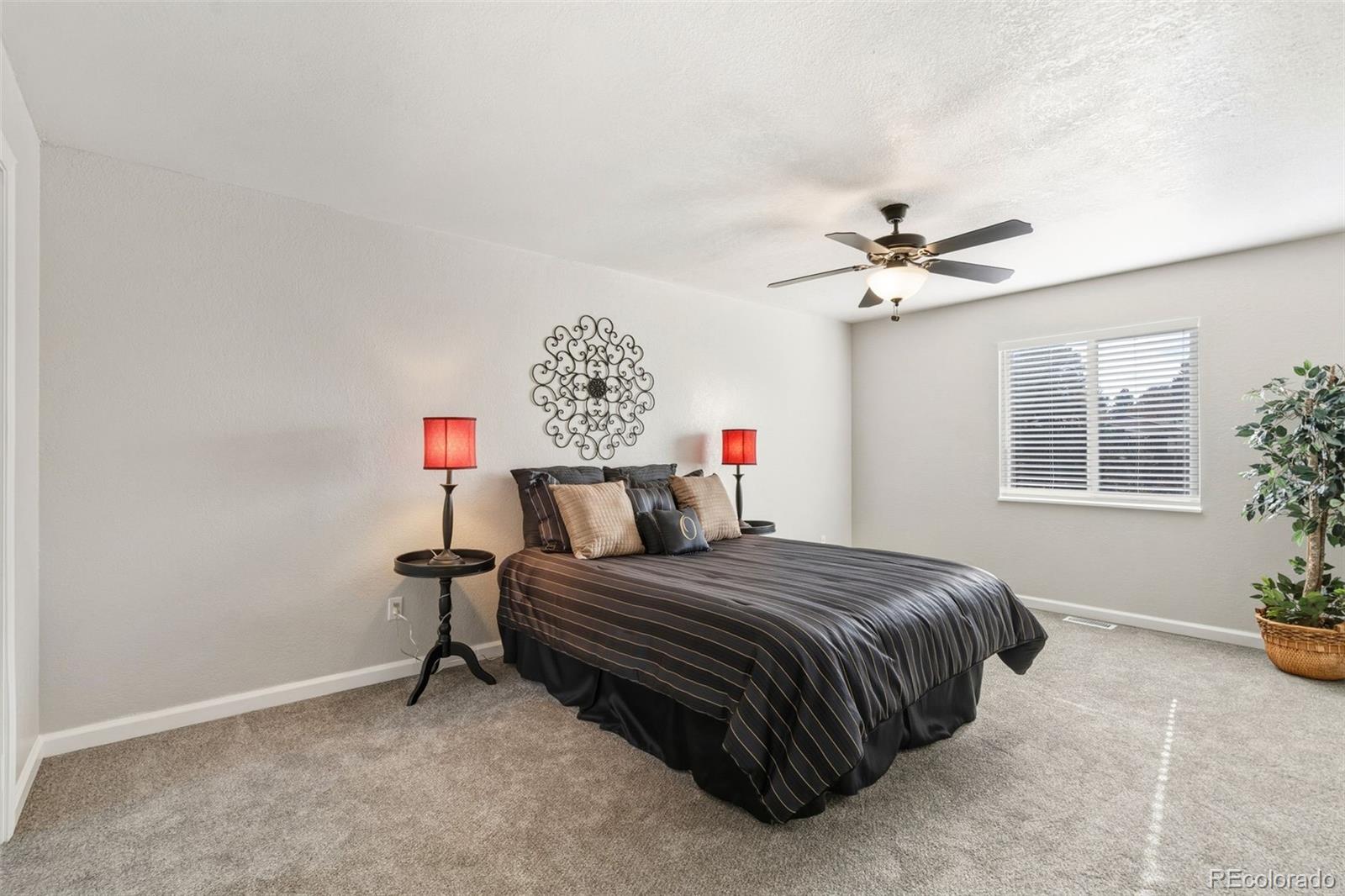 MLS Image #12 for 3160  mirage drive,colorado springs, Colorado