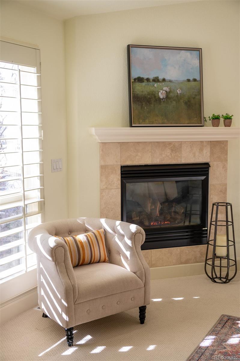 MLS Image #22 for 581  garfield street ,denver, Colorado