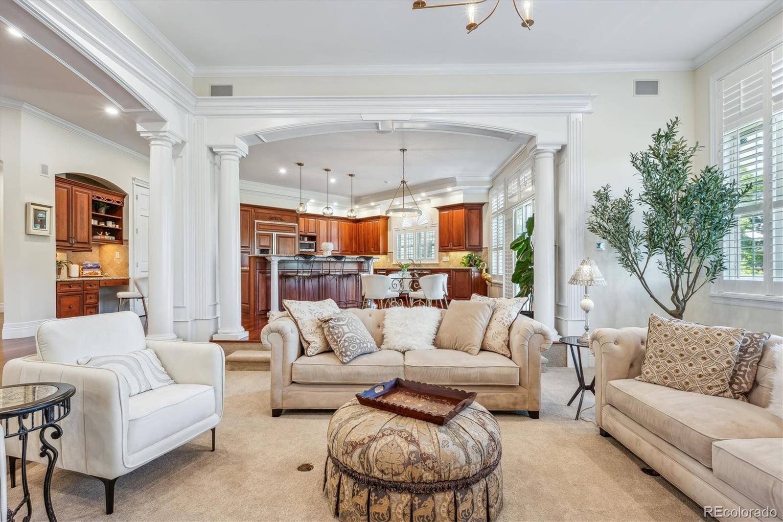 MLS Image #12 for 8717  ridgepointe drive,castle pines, Colorado
