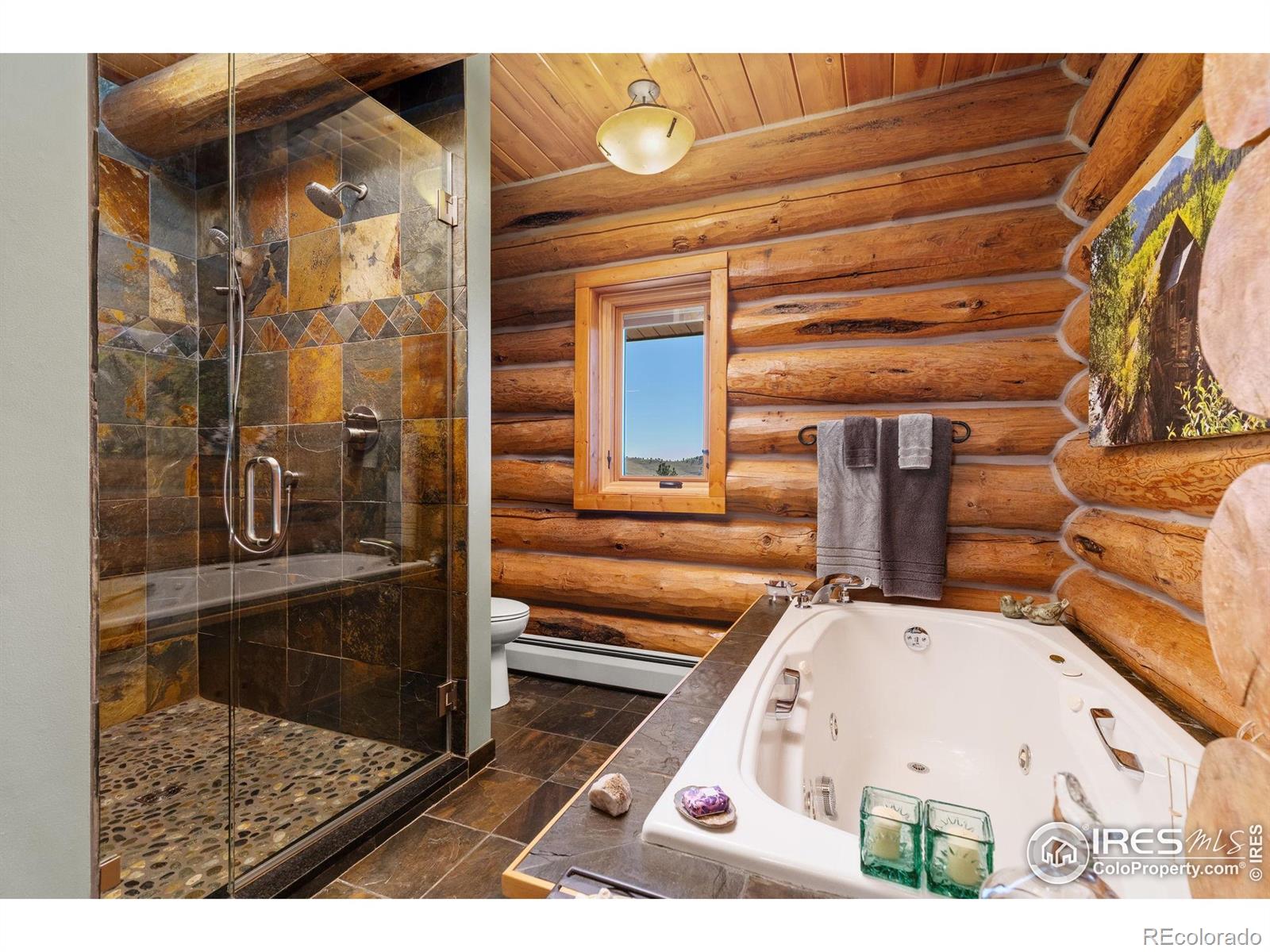 MLS Image #16 for 291  newell drive,loveland, Colorado