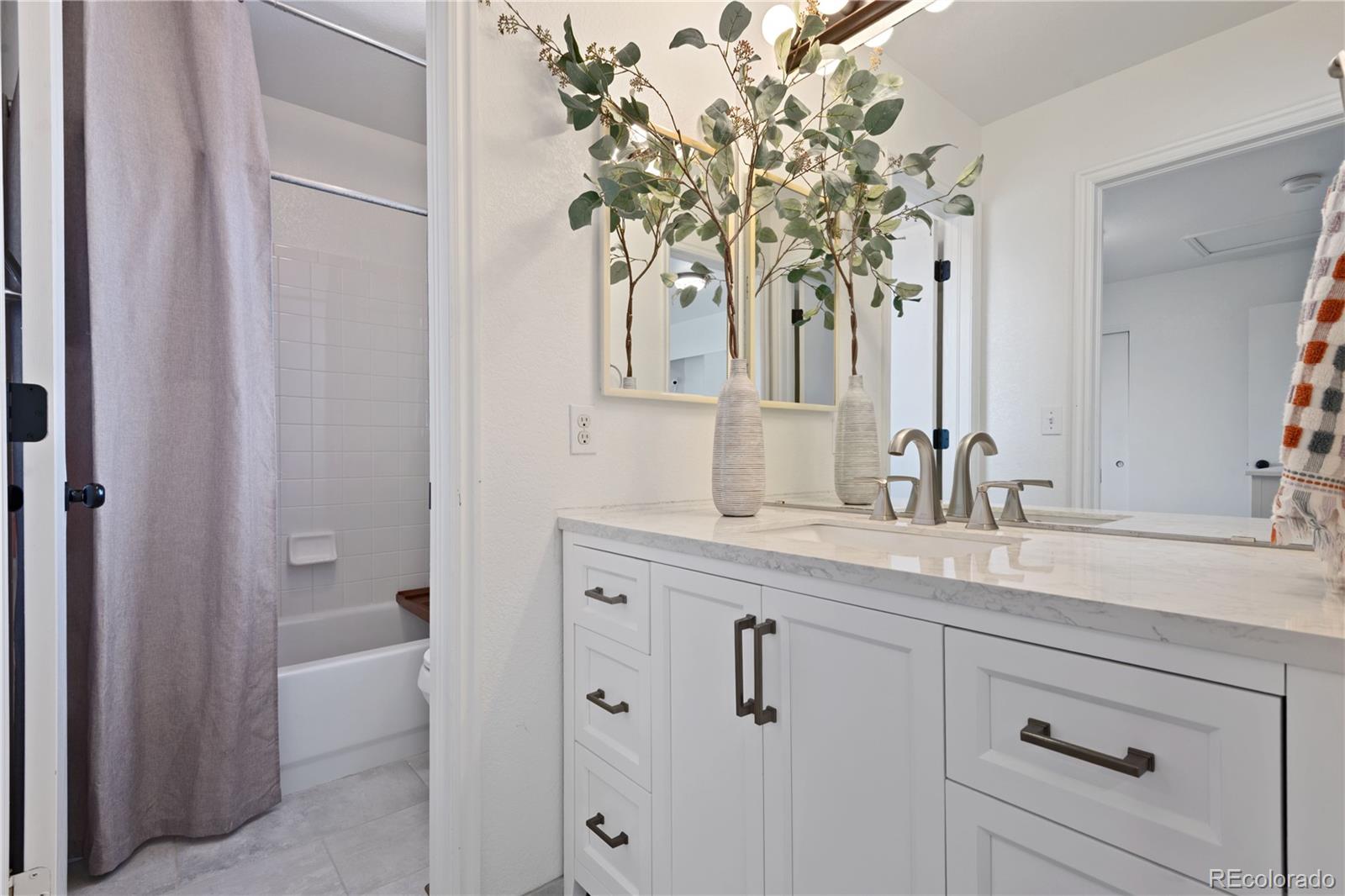 MLS Image #13 for 8789  snowbird way,parker, Colorado