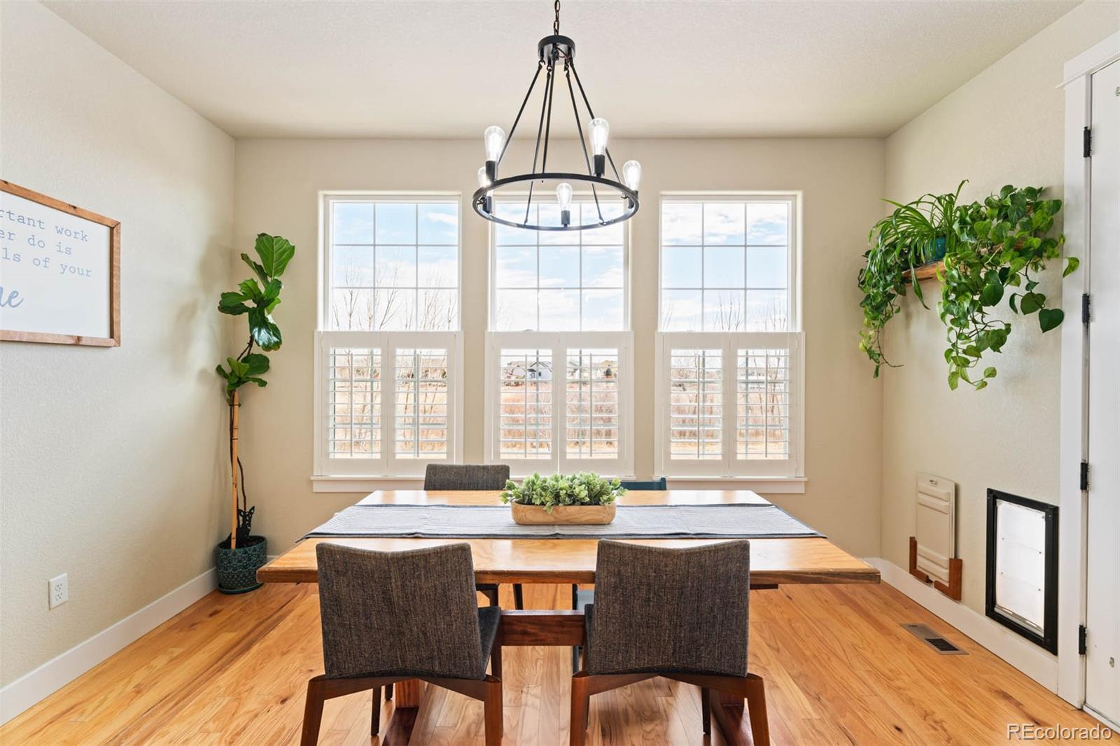 MLS Image #10 for 244  mt harvard avenue,severance, Colorado