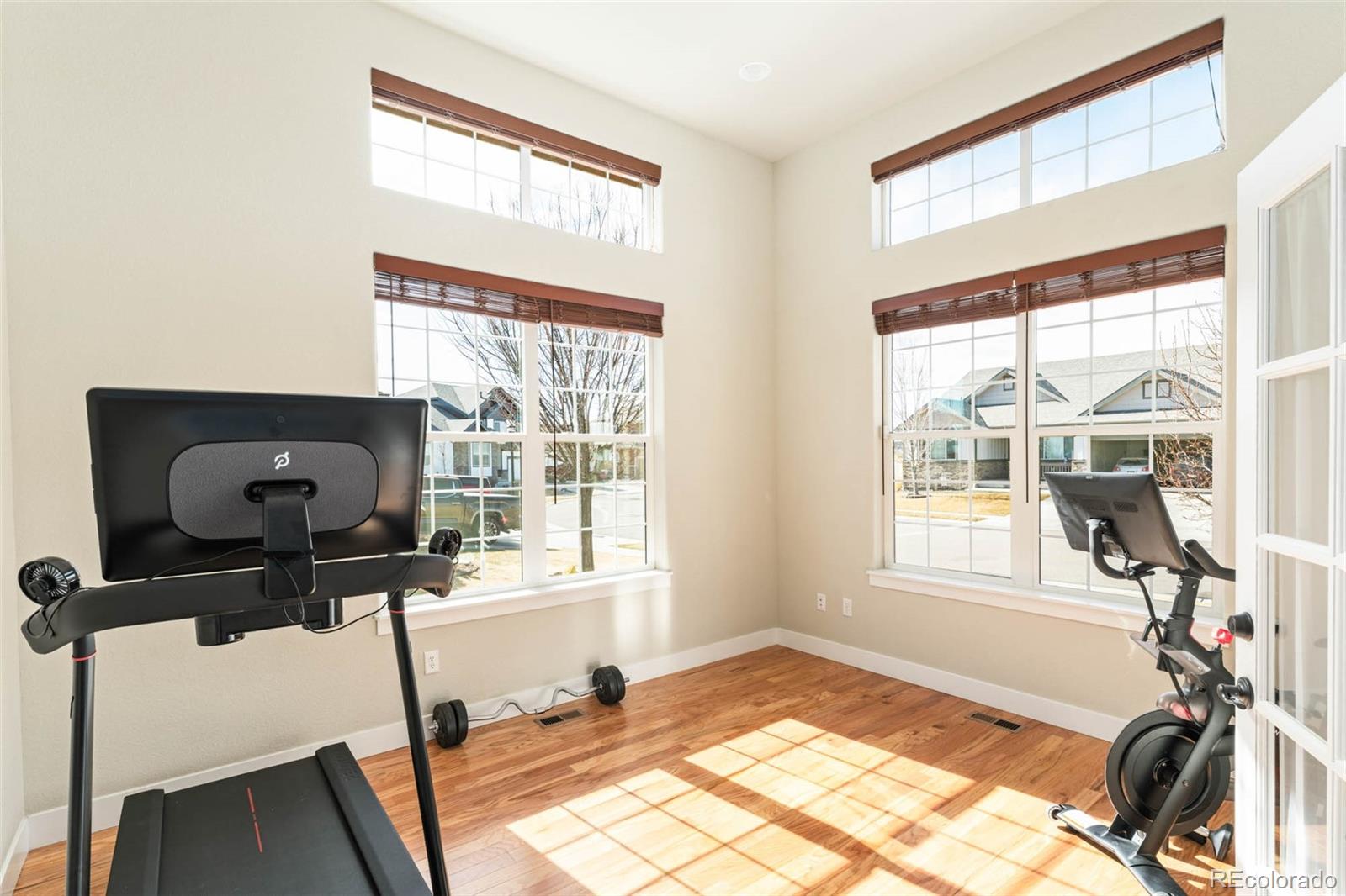 MLS Image #11 for 244  mt harvard avenue,severance, Colorado