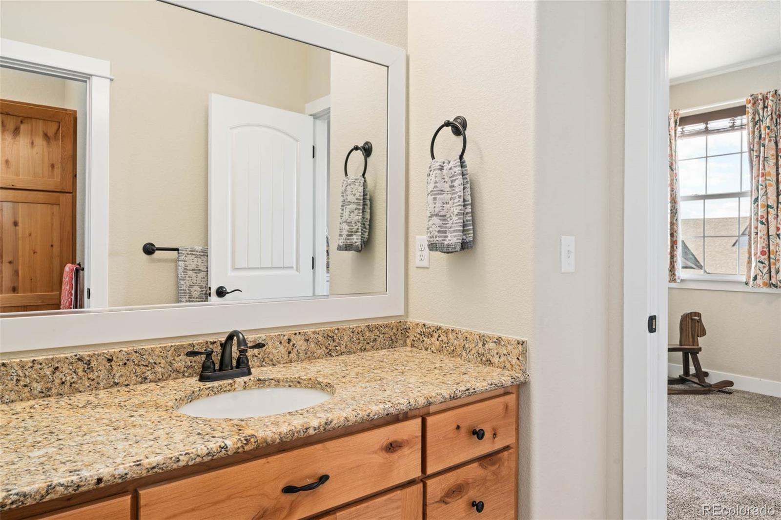 MLS Image #20 for 244  mt harvard avenue,severance, Colorado