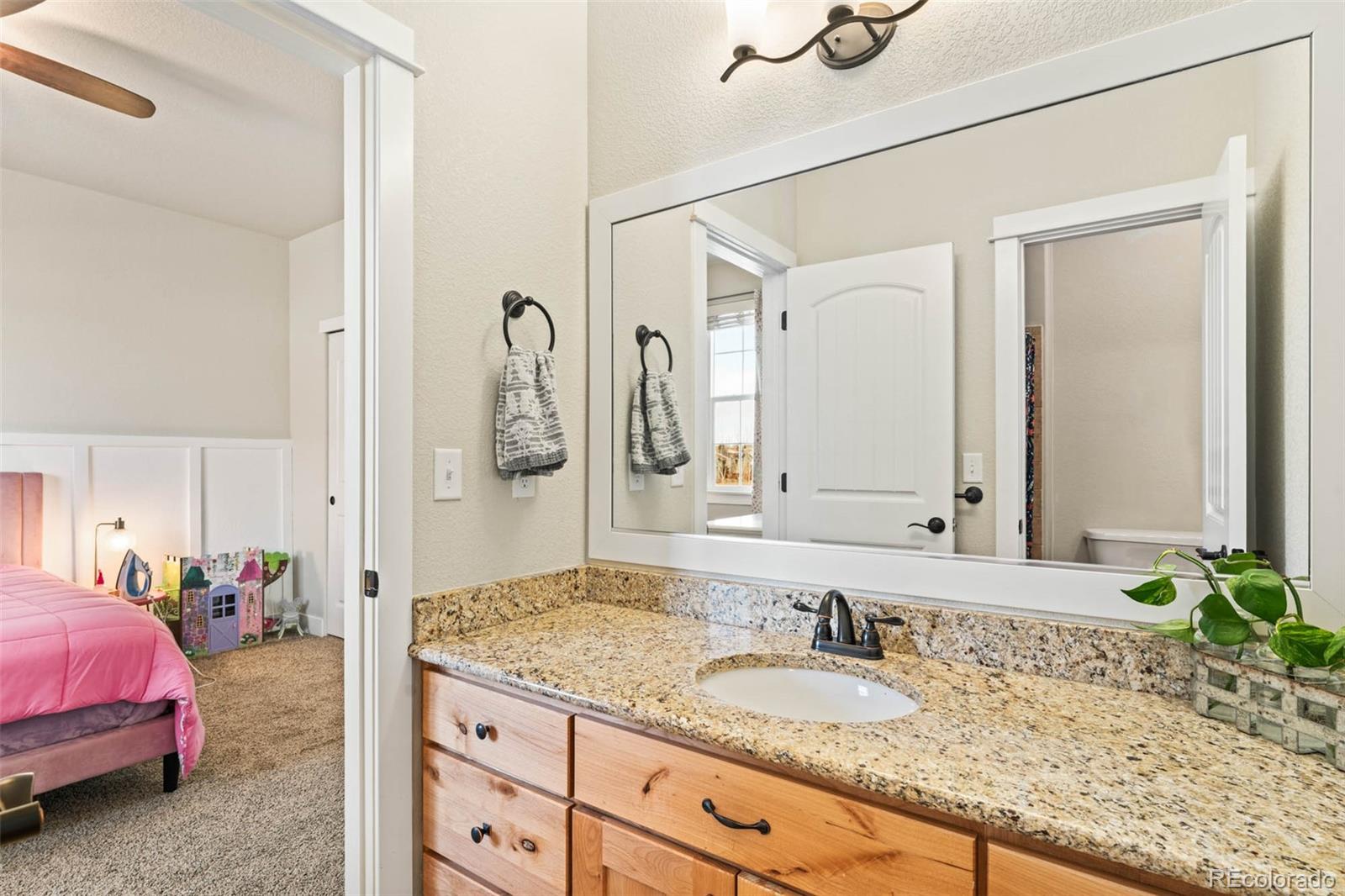 MLS Image #22 for 244  mt harvard avenue,severance, Colorado