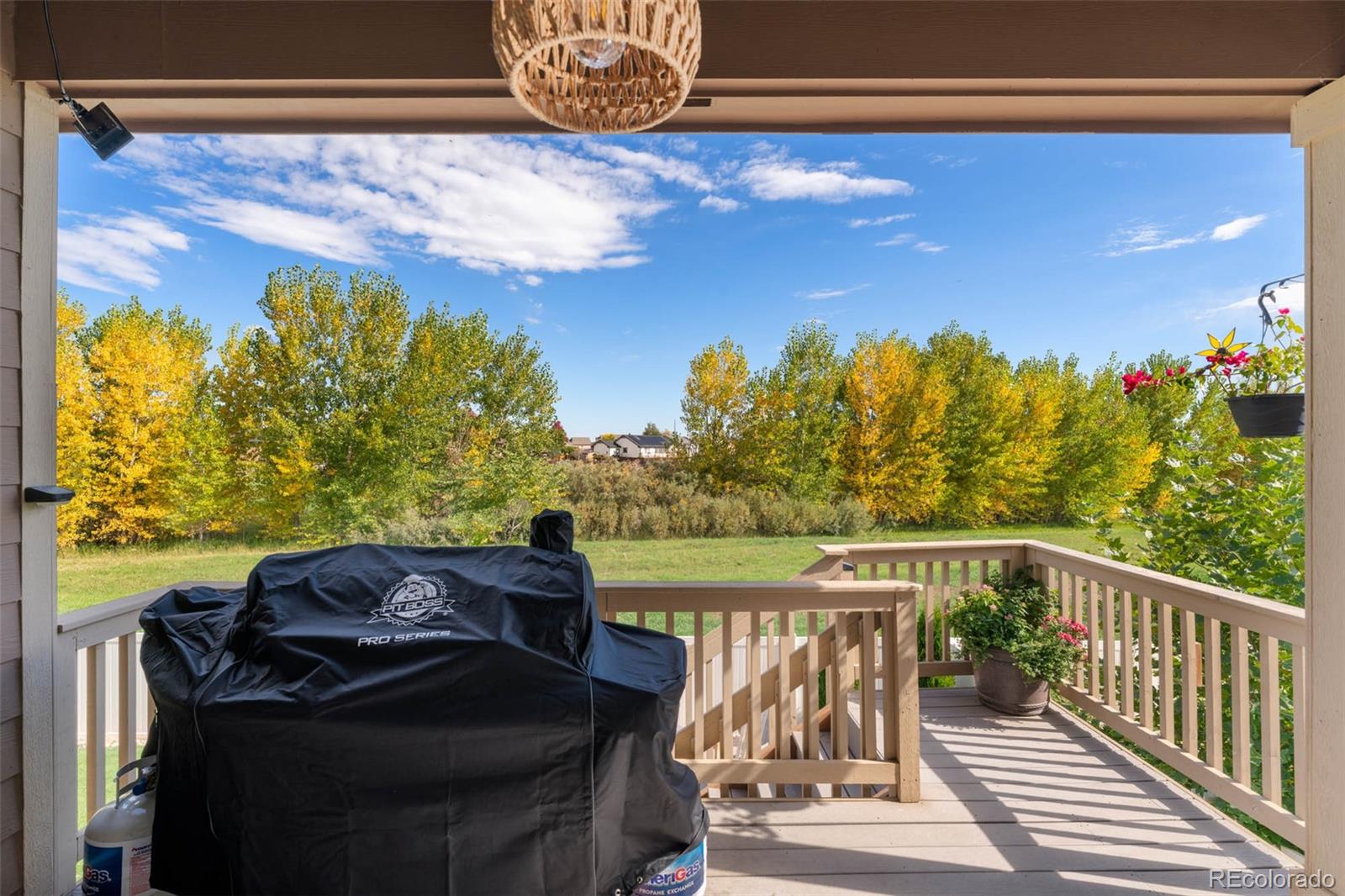 MLS Image #36 for 244  mt harvard avenue,severance, Colorado