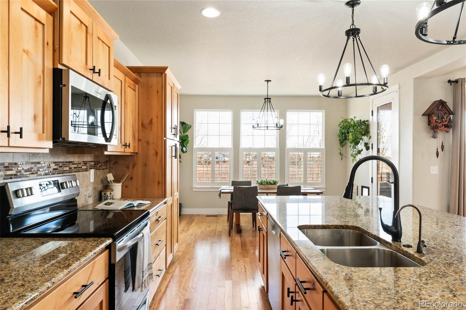 MLS Image #9 for 244  mt harvard avenue,severance, Colorado